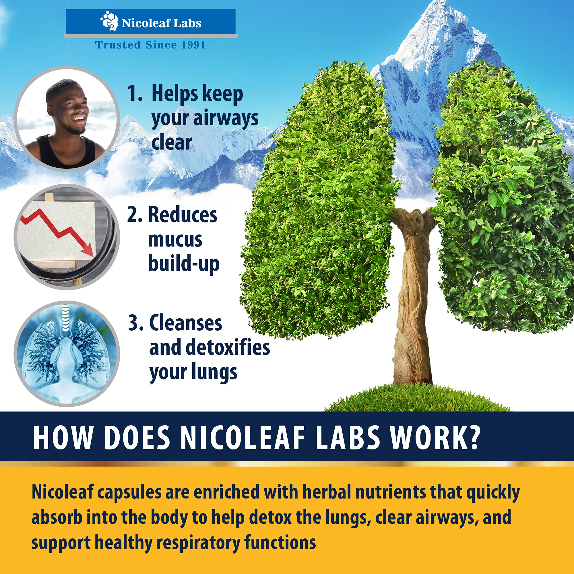 Smoker's Cleanse - Quit Smoking Aid & Respiratory Support - Made in USA NICOLEAF LABS buy supplements canada