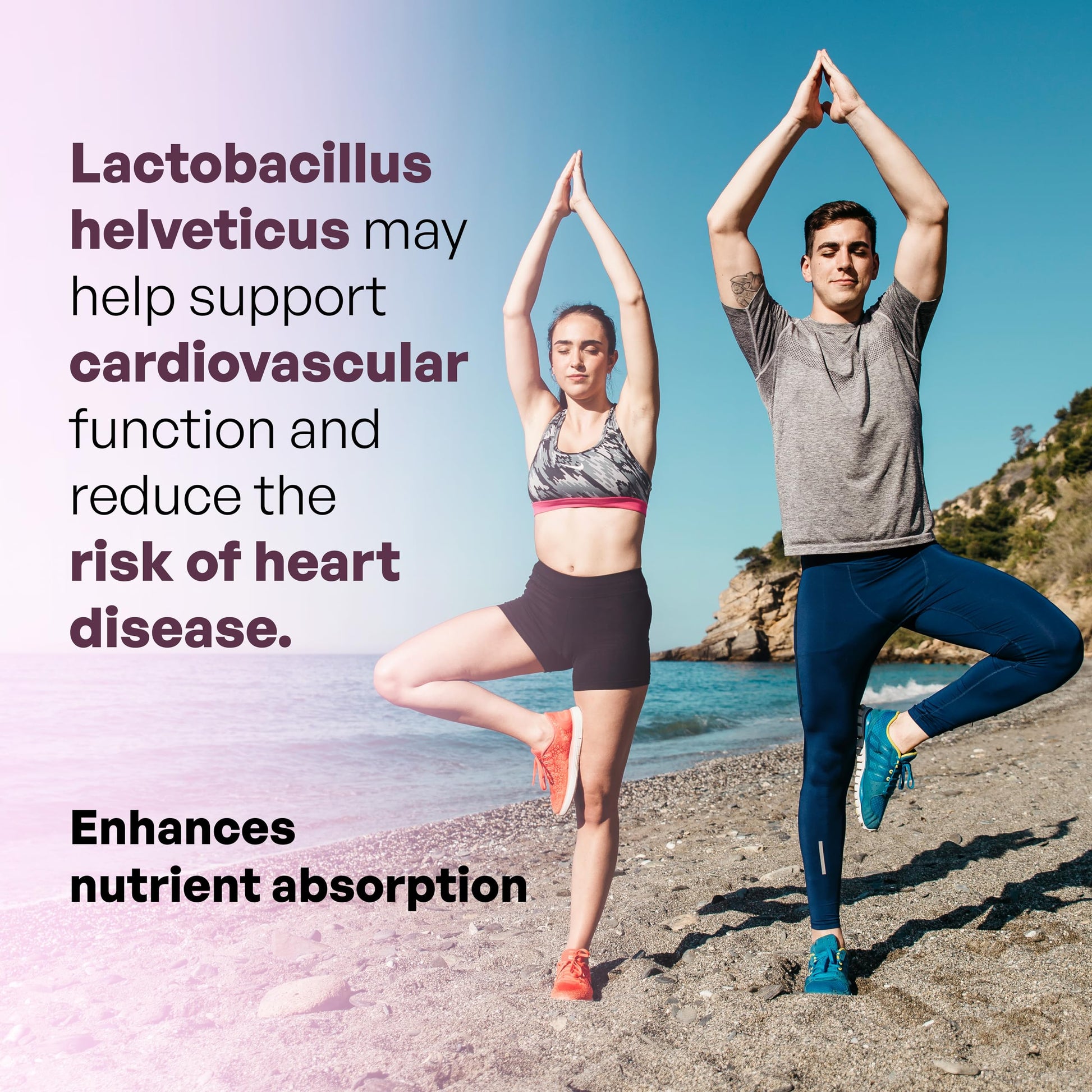 MEIBOTAN L-Helveticus Probiotic Bacteria with 25 Billion CFU for Women & Men, Helps Digestion, Nutrient Absorption and Fight Bad Bacterias - 60 Veggie Capsules MEIBOTAN buy supplements canada