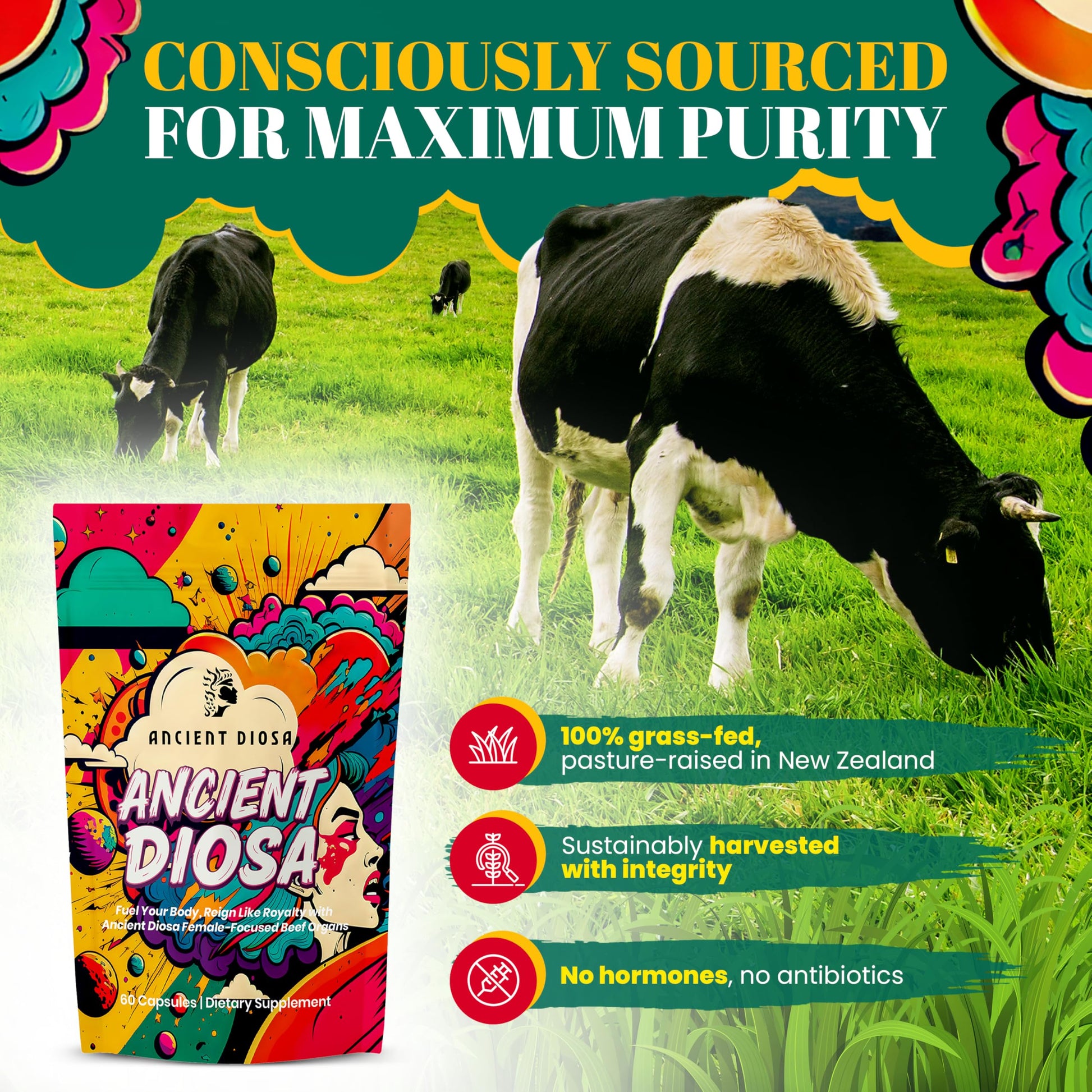 ANCIENT DIOSA Grass Fed Beef Liver Capsules - Female-Focused Organ Supplement with Liver, Heart, Ovary & Uterus - Supports Hormone Balance & Vitality, Whole Body Wellness - 60 Capsules ANCIENT DIOSA buy supplements canada