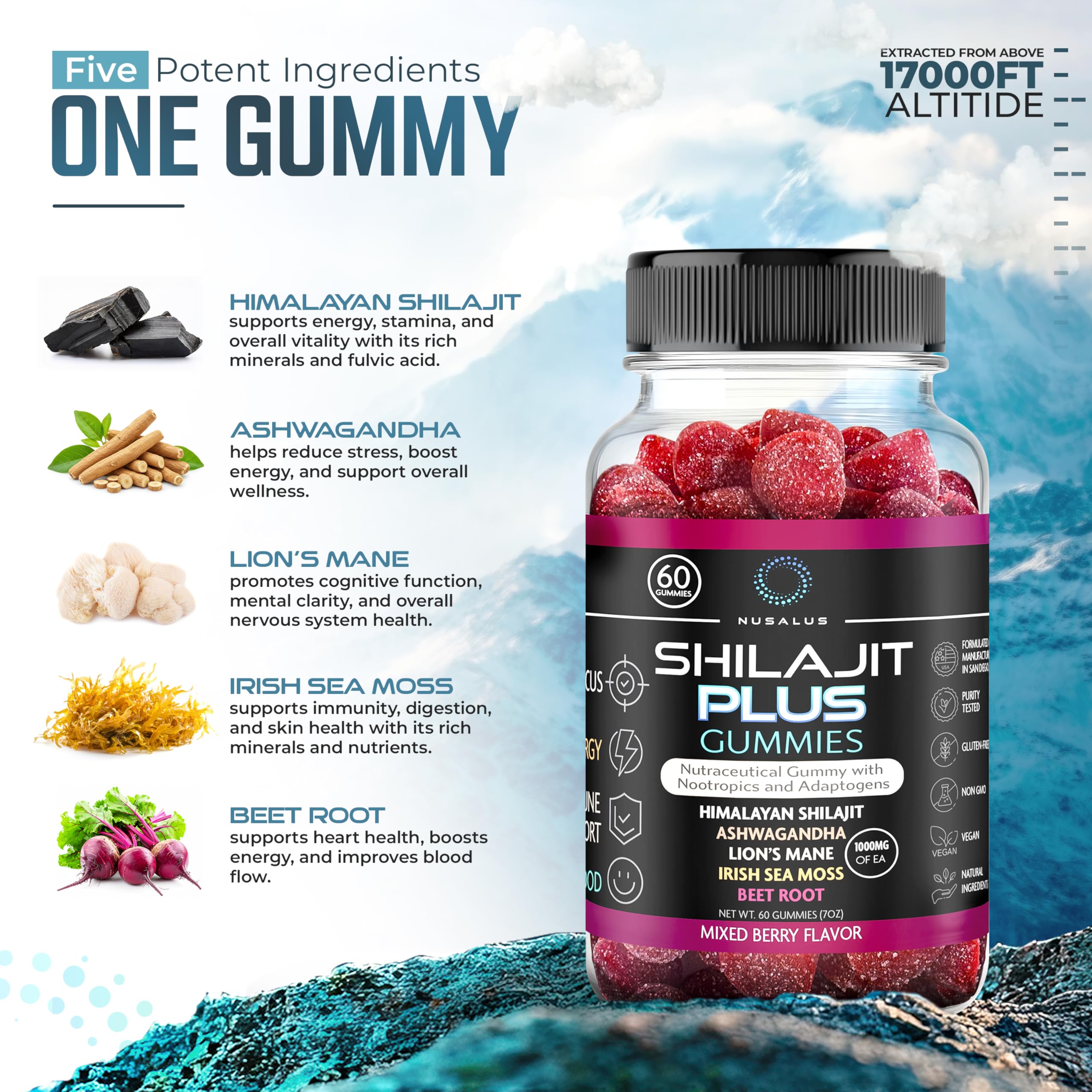 Nusalus Shilajit Plus Gummies – 5-in-1 Adaptogen Energy & Focus Supplement | Shilajit, Ashwagandha, Lion’s Mane, Sea Moss & Beet Root | Natural Energy & Stress Support | Made in USA, Vegan, 60ct Nusalus buy supplements canada