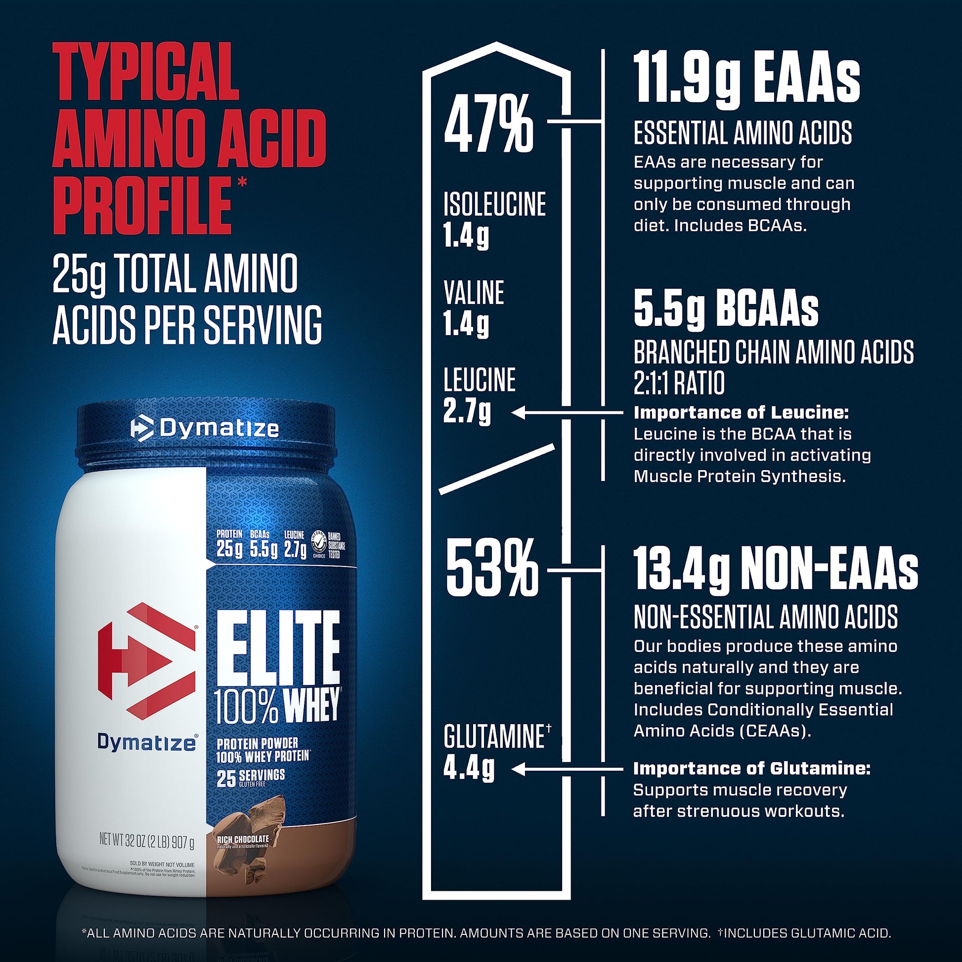Dymatize Elite 100% Whey Protein Powder, 25g Protein, 5.5g BCAAs & 2.7g L-Leucine Dymatize buy supplements canada