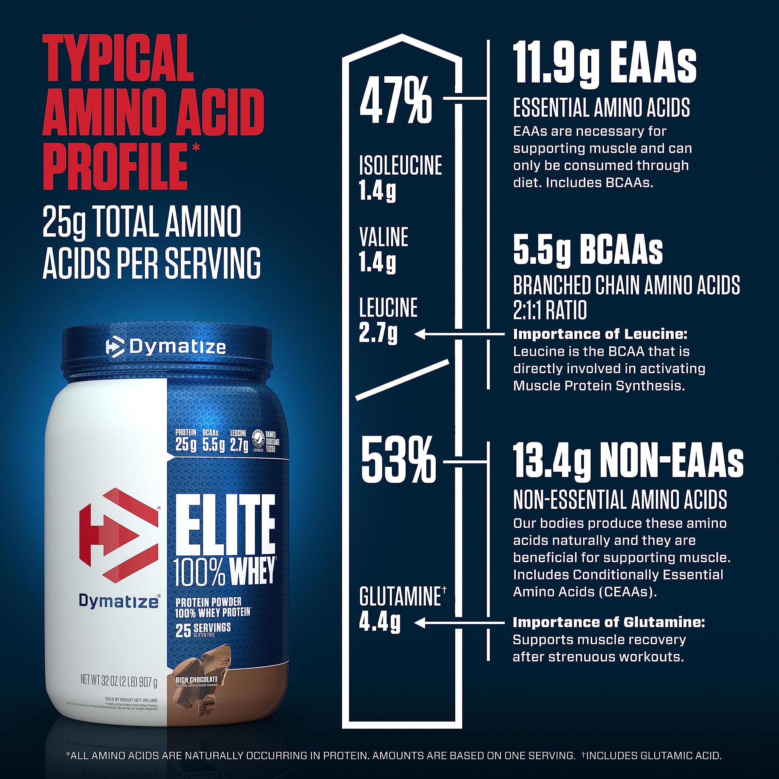 Dymatize Elite 100% Whey Protein Powder, 25g Protein, 5.5g BCAAs & 2.7g L-Leucine Dymatize buy supplements canada