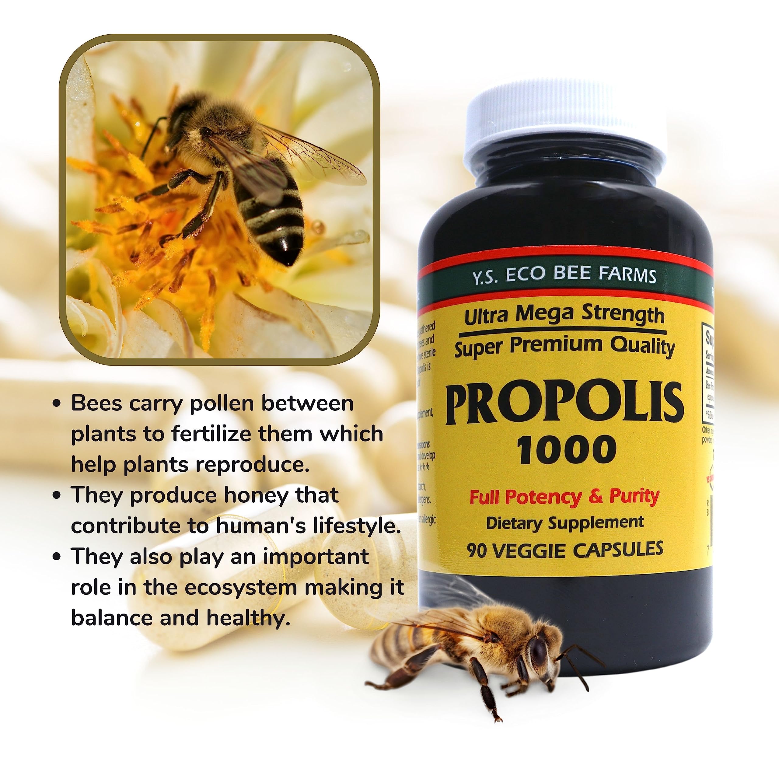 Y.S. Organic Bee Farms Propolis-Raw Unprocessed 1000mg - Your Gateway to Wellness - 90 Capsules with Bonus worldwidenutrition Multi Purpose Key Chain Worldwide Nutrition buy supplements canada