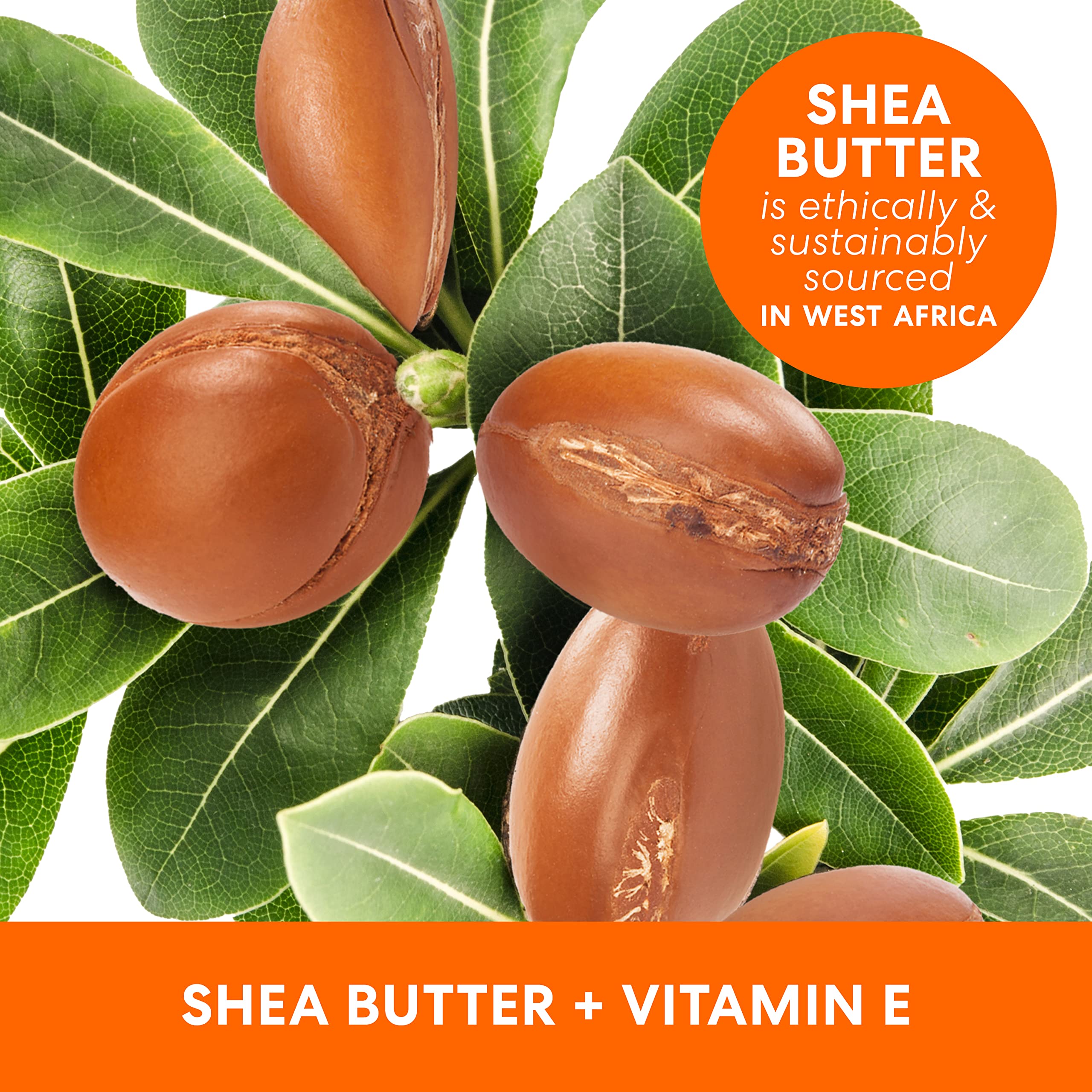 Palmer's Shea Formula Raw Shea Body Oil with Vitamin E, Deep Body Moisturizer to Soothe Palmer's buy supplements canada