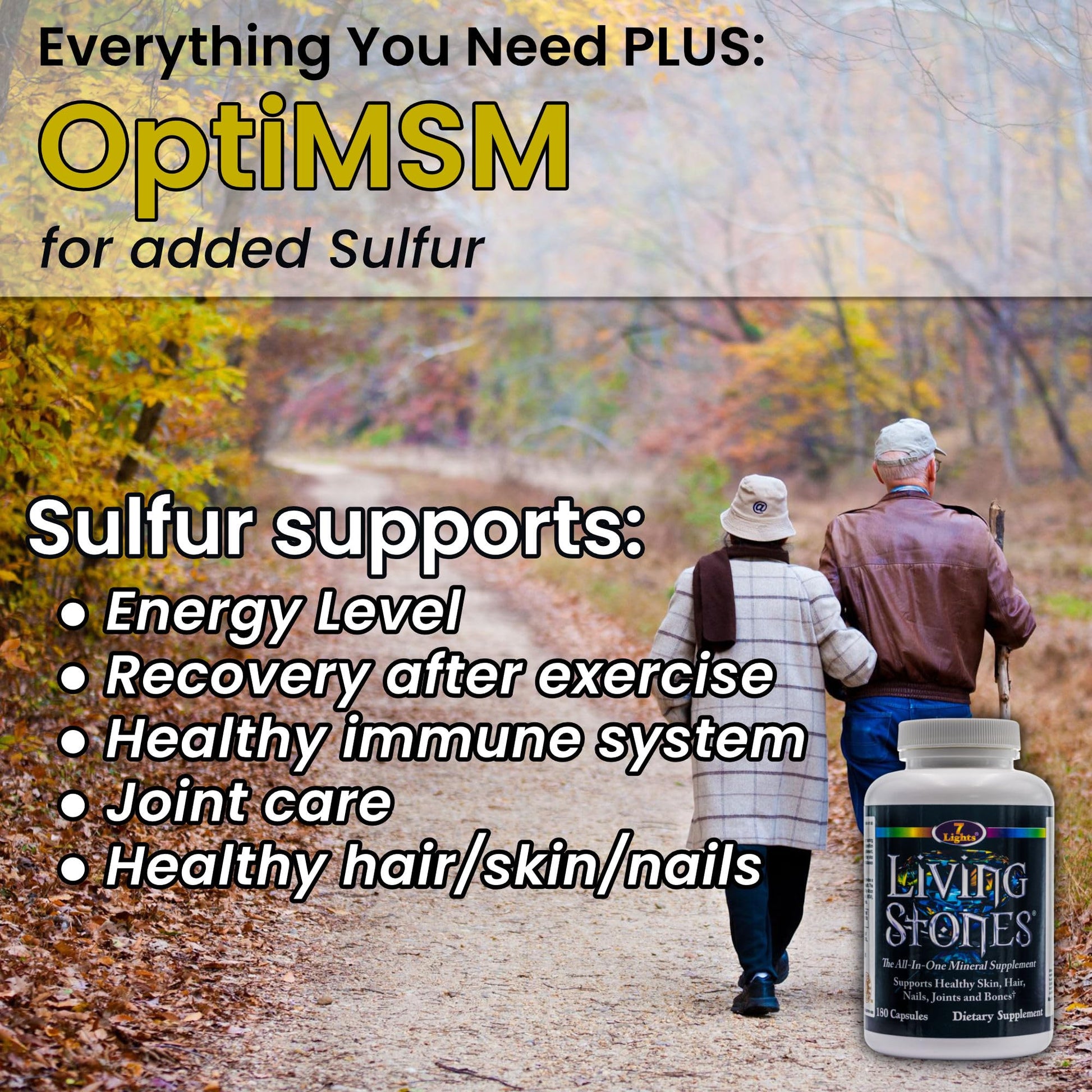 Living Stones, Complete Mineral Supplement with Zinc, Calcium, Magnesium, Selenium, Trace Minerals, No Added Iron, with MSM (Organic Sulfur) and Shilajit, Premium Absorption (30-Day Supply - 180 Caps) 7 Lights buy supplements canada