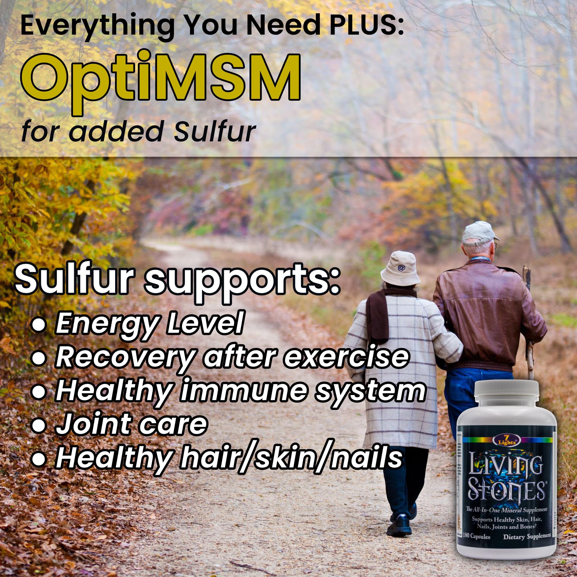 Living Stones, Complete Mineral Supplement with Zinc, Calcium, Magnesium, Selenium, Trace Minerals, No Added Iron, with MSM (Organic Sulfur) and Shilajit, Premium Absorption (30-Day Supply - 180 Caps) 7 Lights buy supplements canada