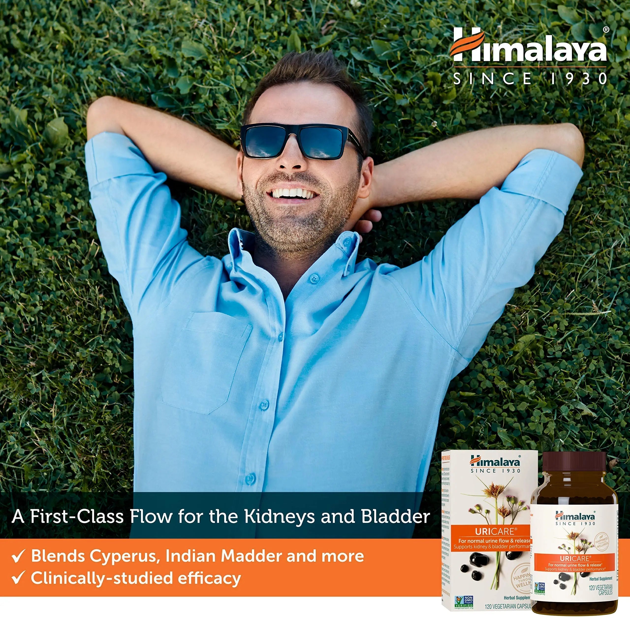 Himalaya UriCare Herbal Supplement, Kidney & Bladder Support, Urinary Tract & Urine Flow Support, Caffeine Free, Non-GMO, Gluten Free, Vegetarian, 240 Capsules, 60 Day Supply Himalaya buy supplements canada