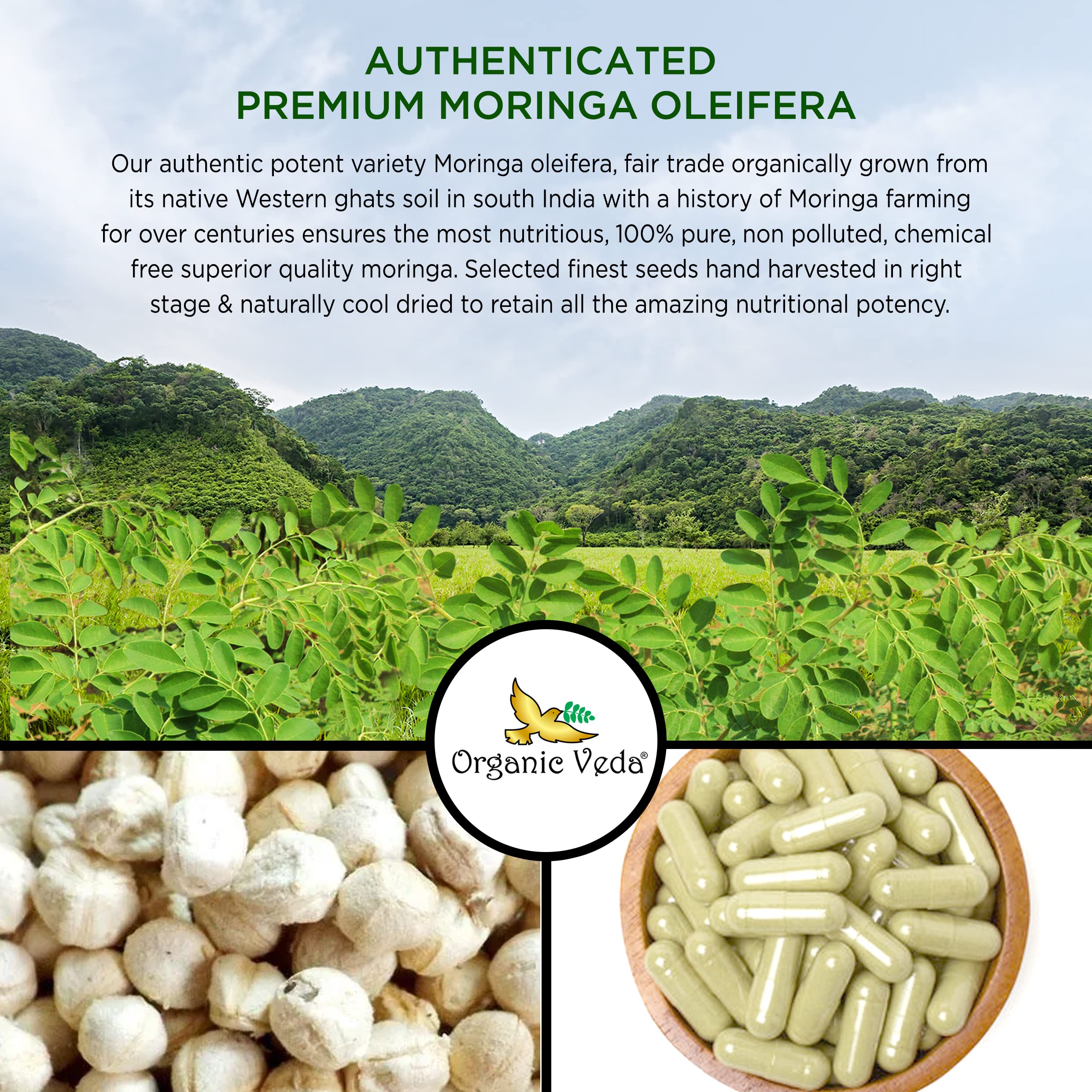 Organic Veda Moringa Seed Capsules - Pure Organic Moringa Capsules Seed Powder Organic Veda buy supplements canada
