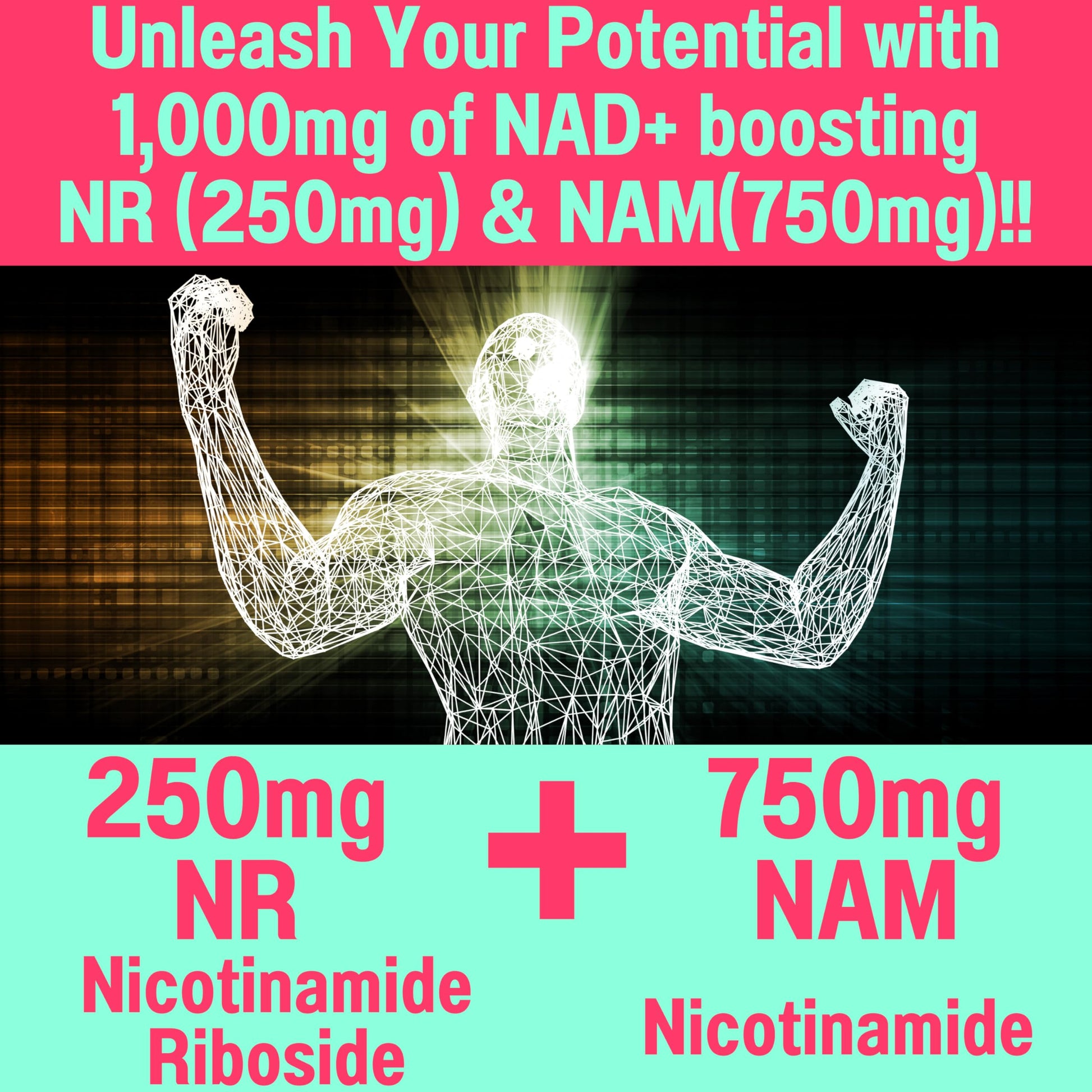 SHIZAM Nicotinamide Riboside NR NAM Resveratrol Gummies, 1000mg NAD+ NAD + Plus Nrf2 Activator Booster w Pure Niacinamide Vitamins B3 Capsules Pills Powder Supplements Alt NDA Regenerator 500mg SHIZAM buy supplements canada