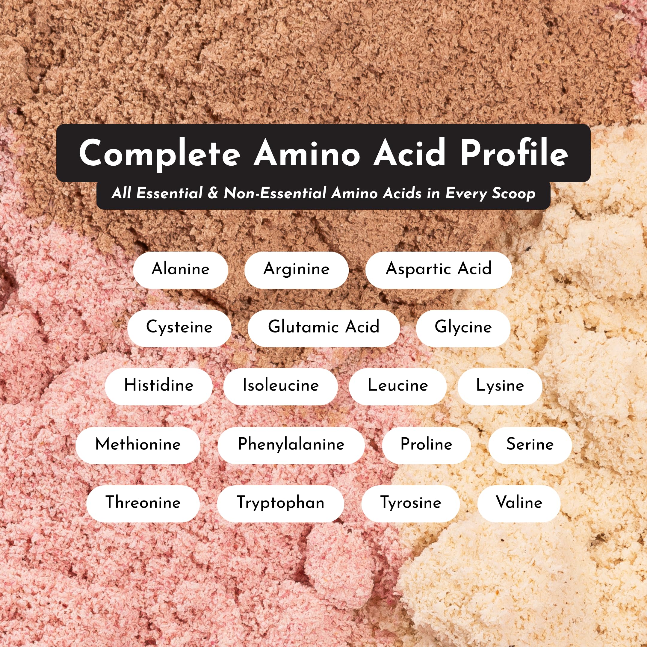 JUST INGREDIENTS Vanilla Protein Powder - Grass-Fed Whey Blend, Organic, Gluten Free, Dairy Free, Soy Free - 15 Servings, 22g Protein JUST INGREDIENTS buy supplements canada