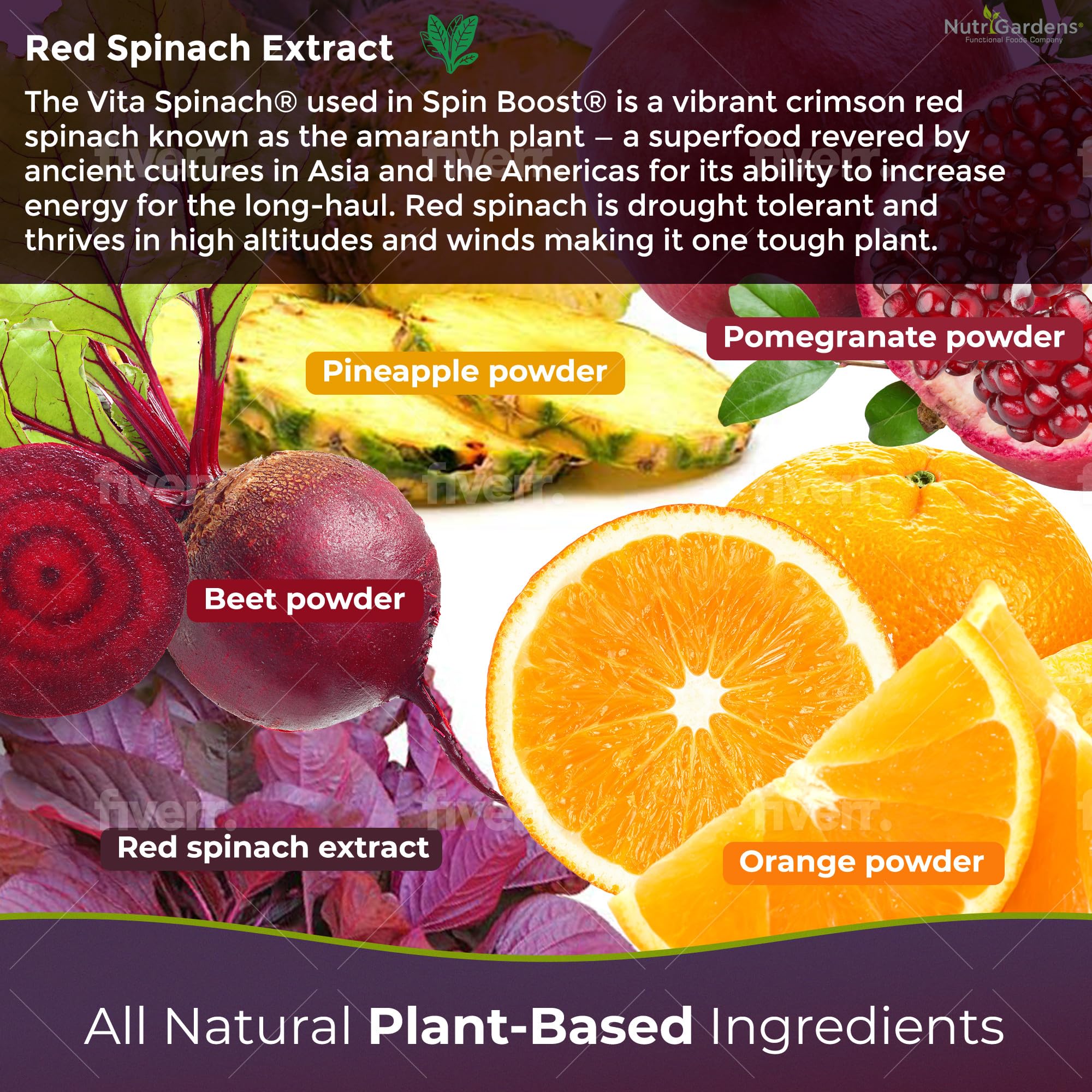 Nutrigardens Spin Boost Nitric Oxide Red Spinach Nitrate Pre-Workout Powder Concentrated Nutrigardens buy supplements canada