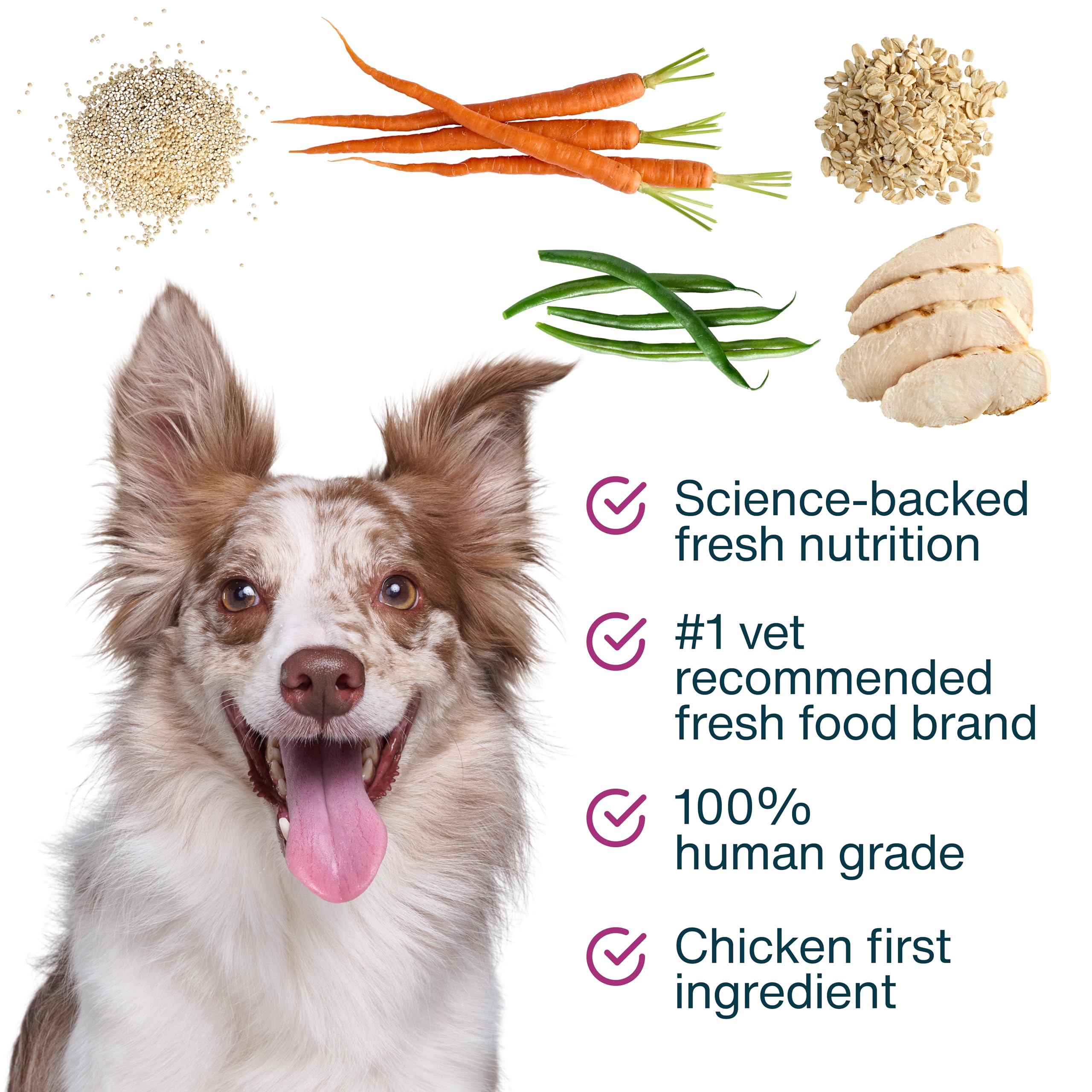 JustFoodForDogs JustFresh Boosts Hip & Joint Support Dog Food Toppers with Glucosamine to Support Hip Mobility & Joint Flexibility, Human-Grade Fresh Pet Meal Booster, 8 oz Pouches - 8 Pack JustFoodForDogs buy supplements canada