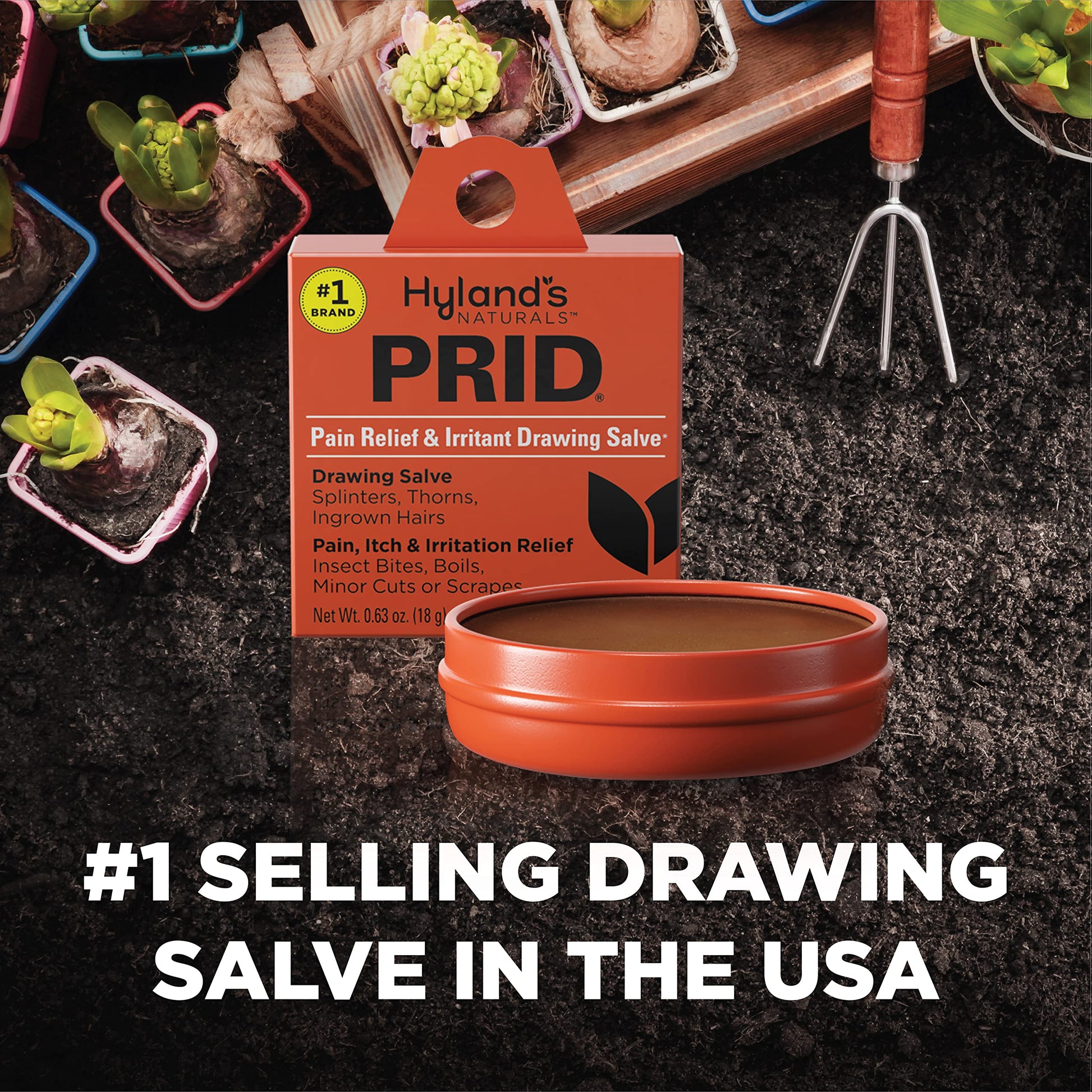 Hyland's PRID Drawing Salve Naturals (2 Pack) Hyland's buy supplements canada