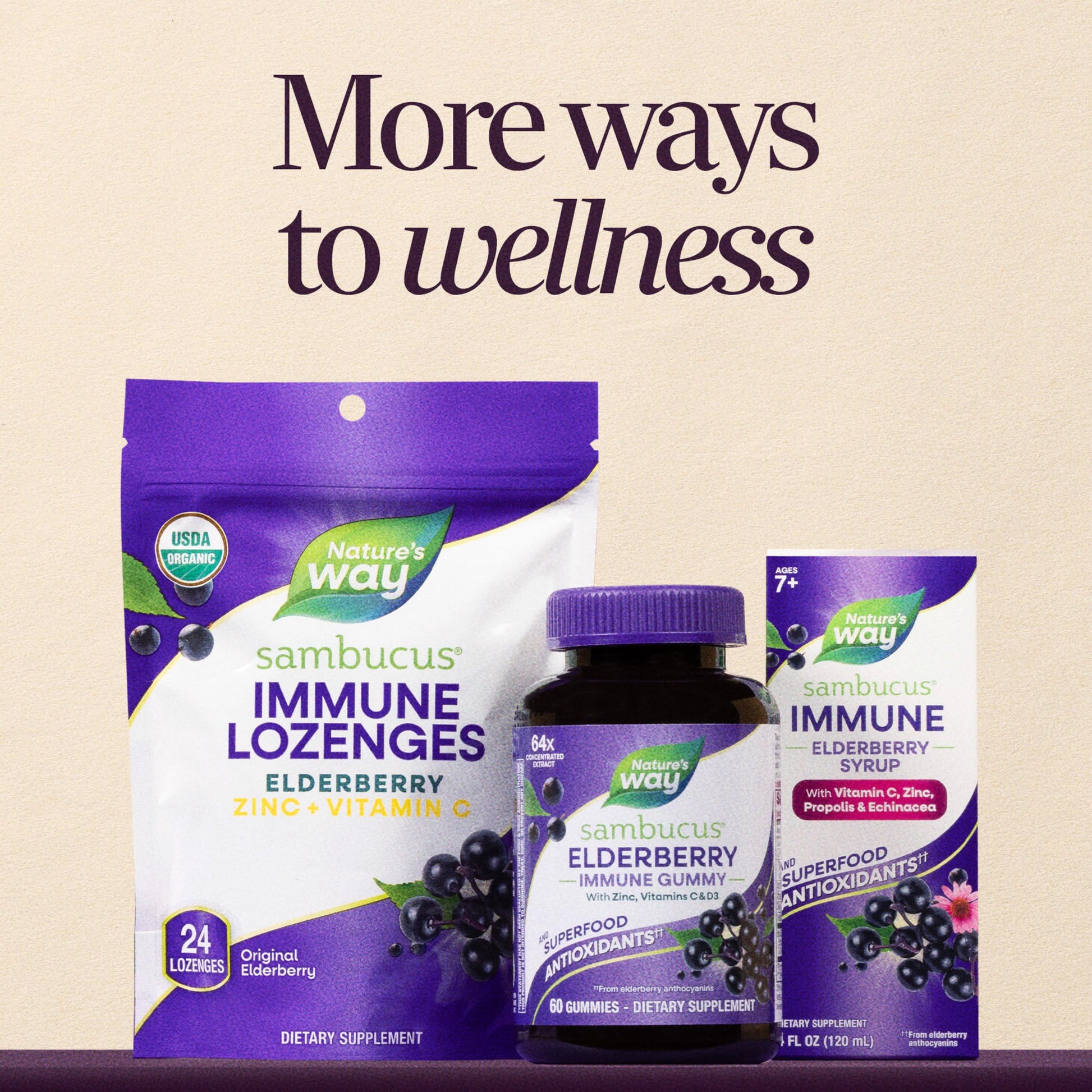 Nature’s Way Sambucus Elderberry Gummies, Immune Support Gummy for Adults & Kids Ages 4+ with Black Elderberry Extract, Vitamin C Nature's Way buy supplements canada