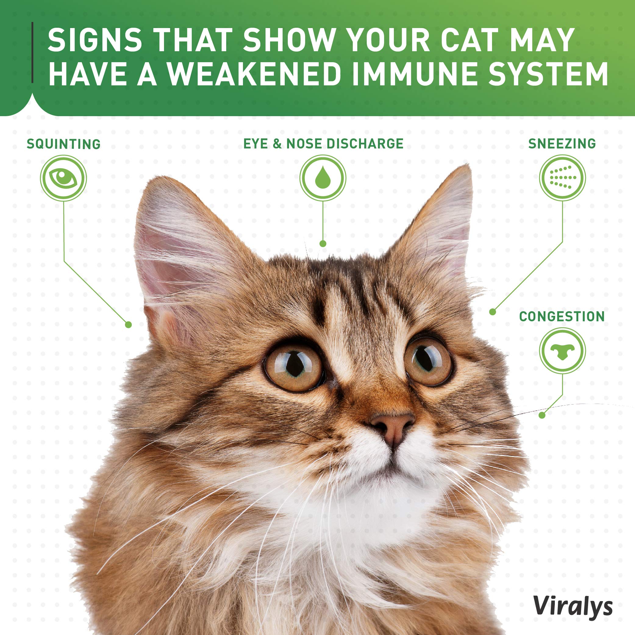 Vetoquinol Viralys Daily L-Lysine Powder for Cats and Kittens, Fish Flavored Lysine Supplement for Cats and Kittens to Support Immune Health Vetoquinol buy supplements canada