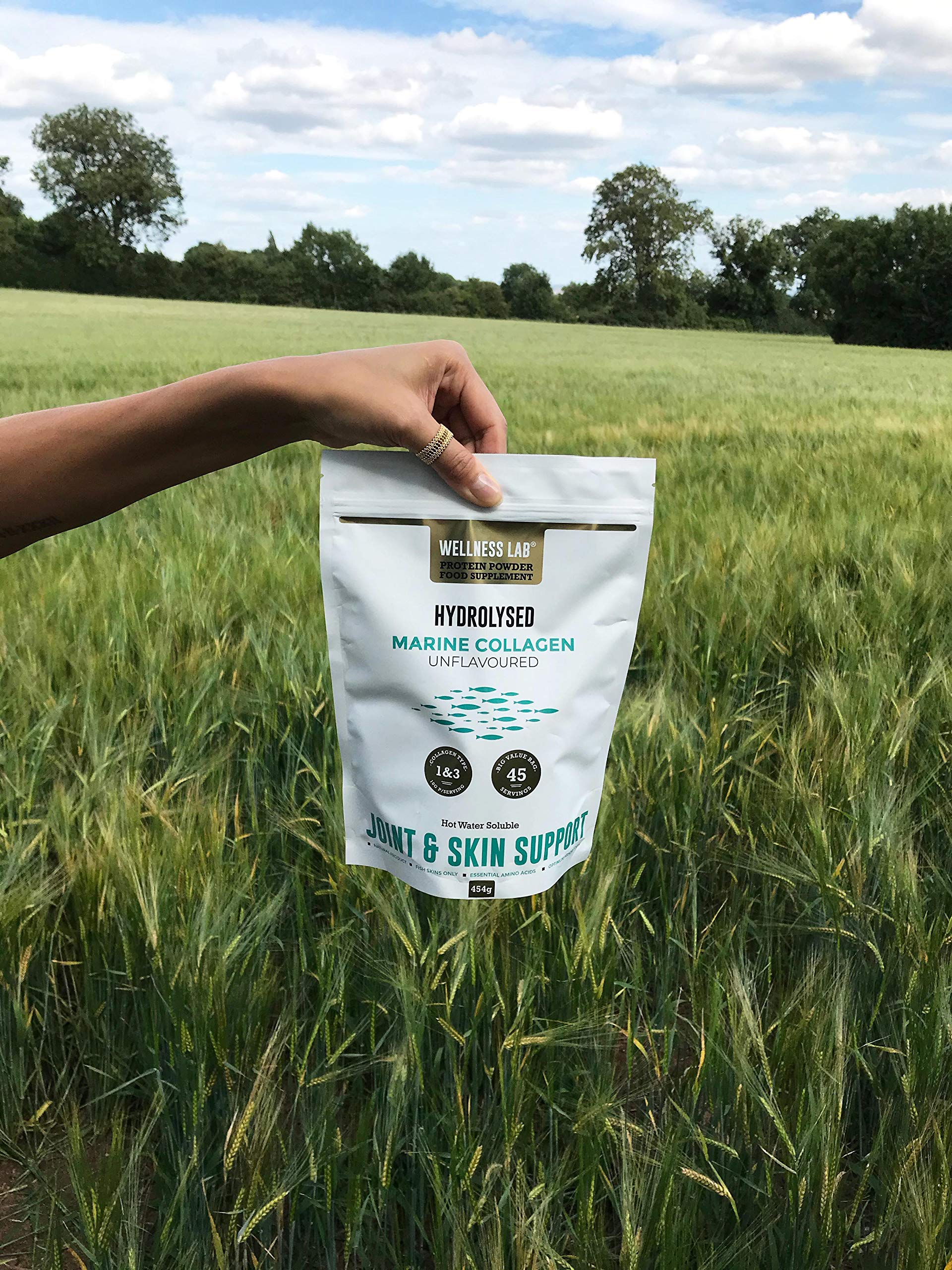 Cleanest Marine Collagen Peptides | Wellness Lab 454g | Type I,III | Highest Bioavailability Hydrolysed Protein Wellness Lab buy supplements canada