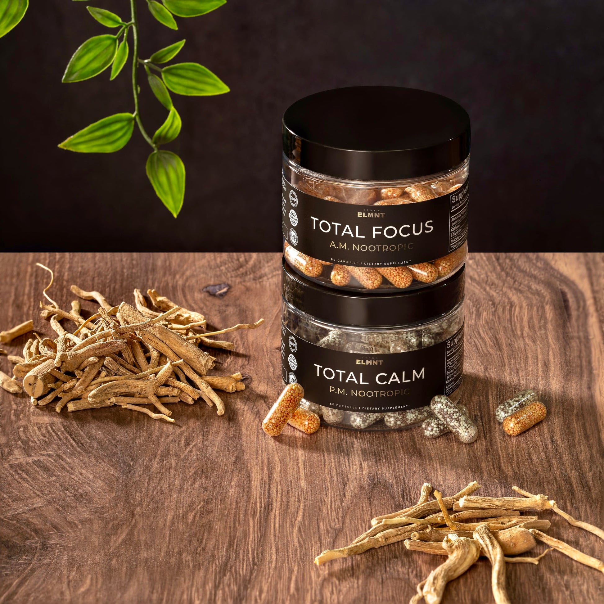 AMPM Nootropic Total Focus + Calm 9X Strength w. Caffeine, L-Theanine, Alpha GPC, L-Tyrosine, Ashwagandha - X-Release Energy Pills Nootropics Brain Support Supplements for Memory and Focus Supplement TERRA ELMNT buy supplements canada