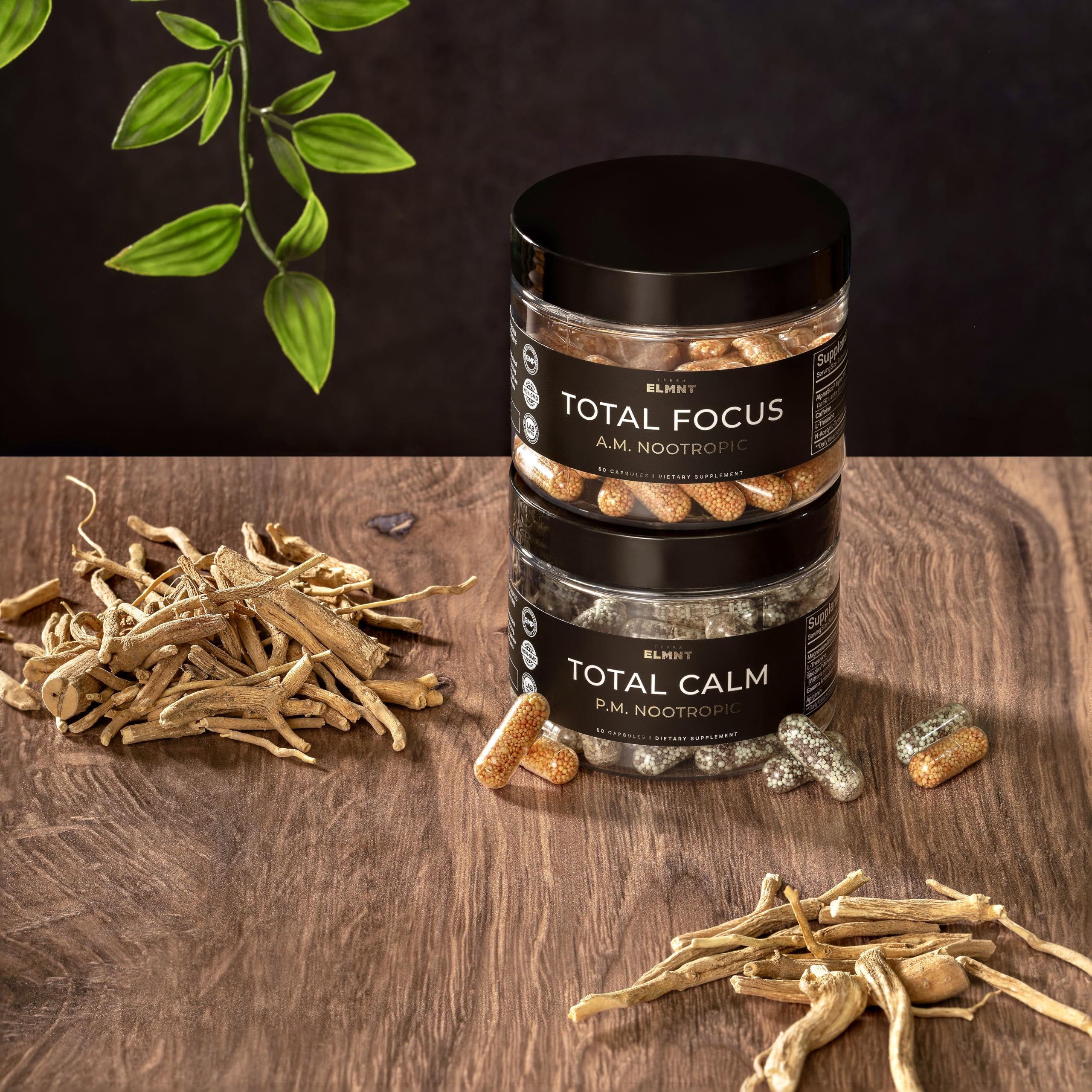 AMPM Nootropic Total Focus + Calm 9X Strength w. Caffeine, L-Theanine, Alpha GPC, L-Tyrosine, Ashwagandha - X-Release Energy Pills Nootropics Brain Support Supplements for Memory and Focus Supplement TERRA ELMNT buy supplements canada