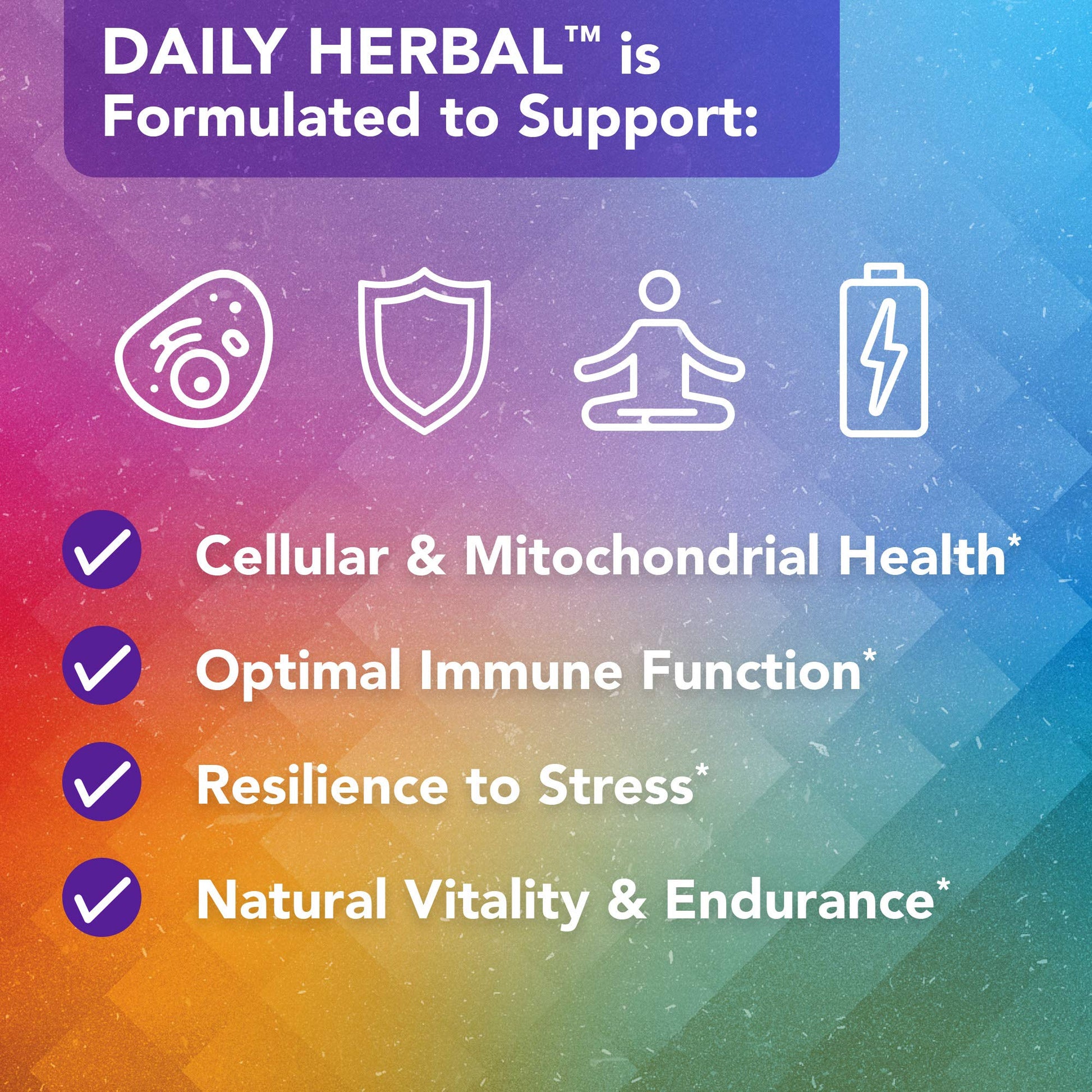 Vital Plan Daily Herbal Supplement by Dr. Bill Rawls – Herbal Immunity Booster for Immune Support, Microbiome Balance & Cell Health — Reishi Mushroom, Turmeric & Rhodiola Vital Plan buy supplements canada