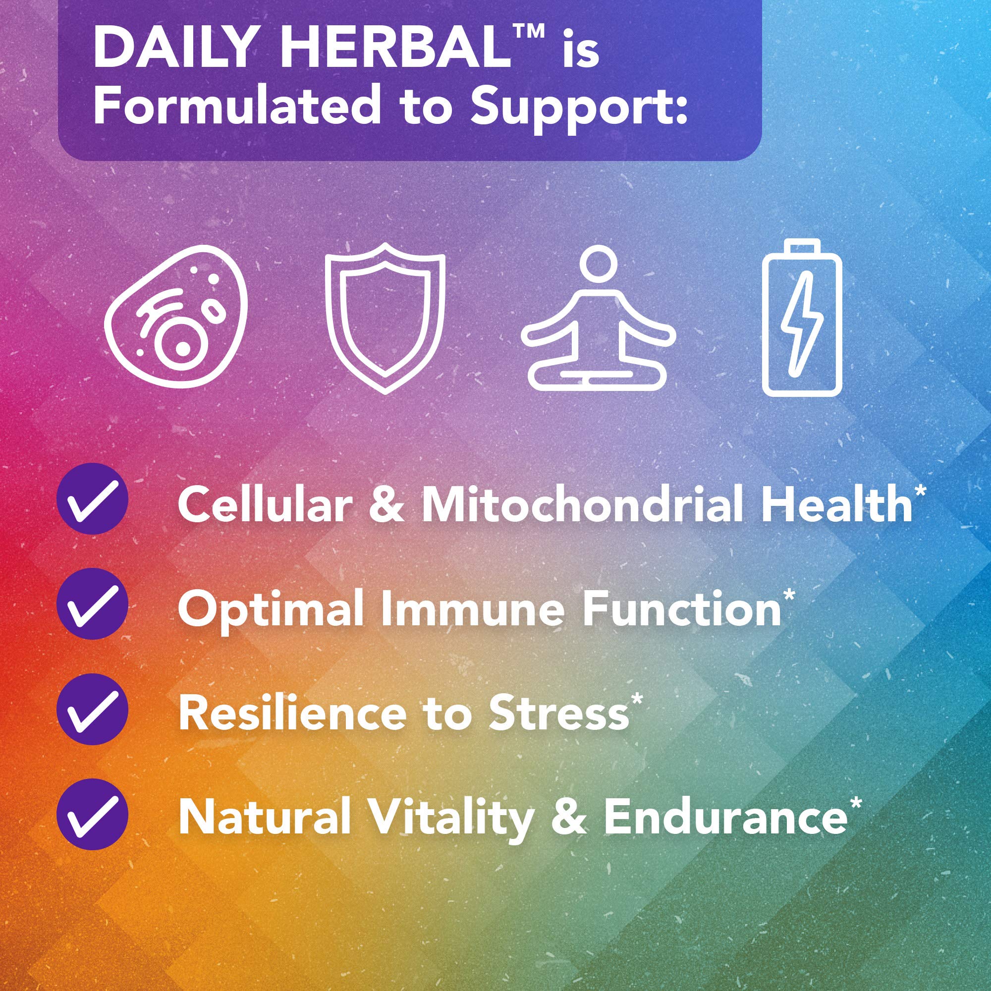 Vital Plan Daily Herbal Supplement by Dr. Bill Rawls – Herbal Immunity Booster for Immune Support, Microbiome Balance & Cell Health — Reishi Mushroom, Turmeric & Rhodiola Vital Plan buy supplements canada