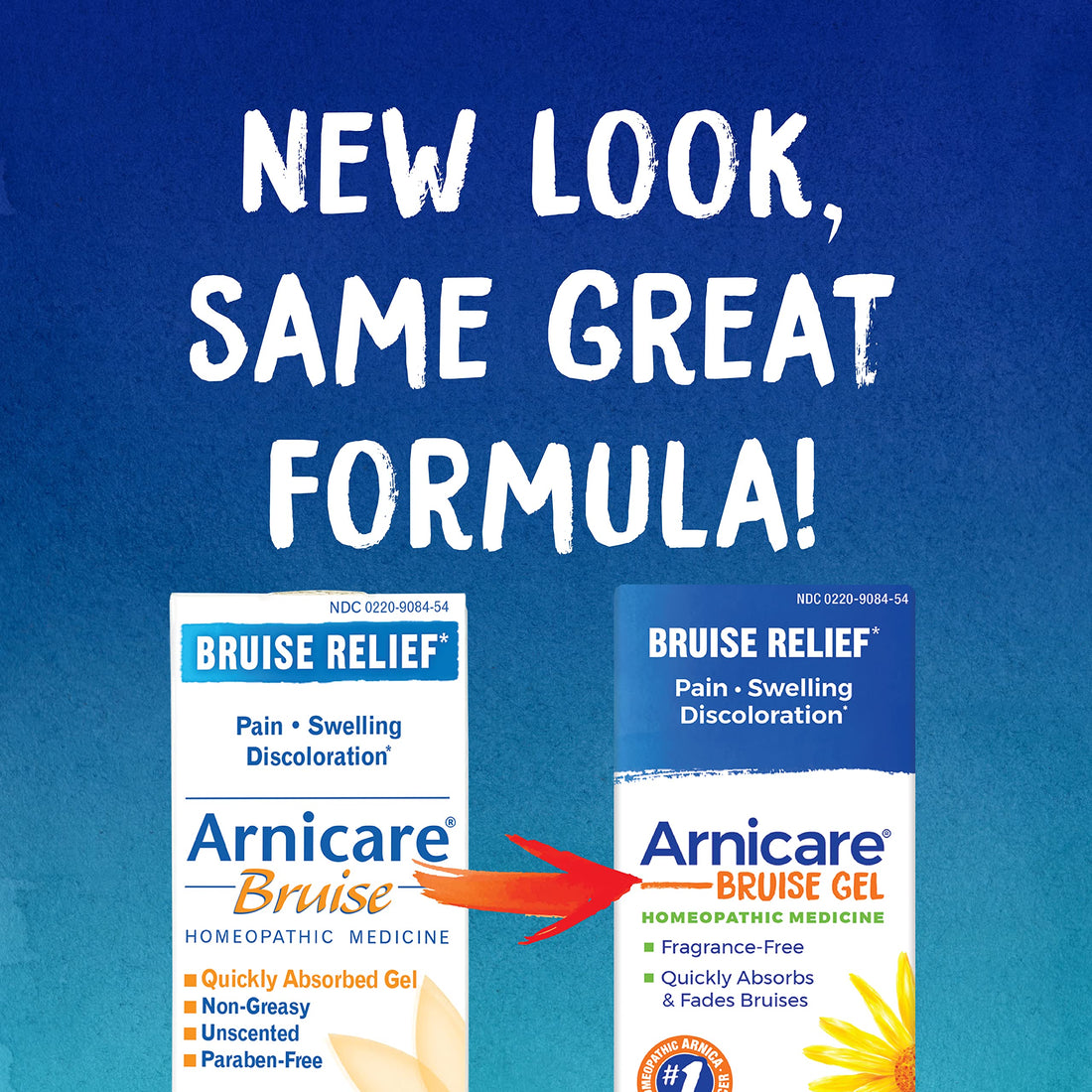 Boiron Arnicare Gel & Bruise Gel Bundle for Soothing Relief of Joint & Muscle Pain, Bruises or Injury - Unisex-Adults & Kids Boiron buy supplements canada