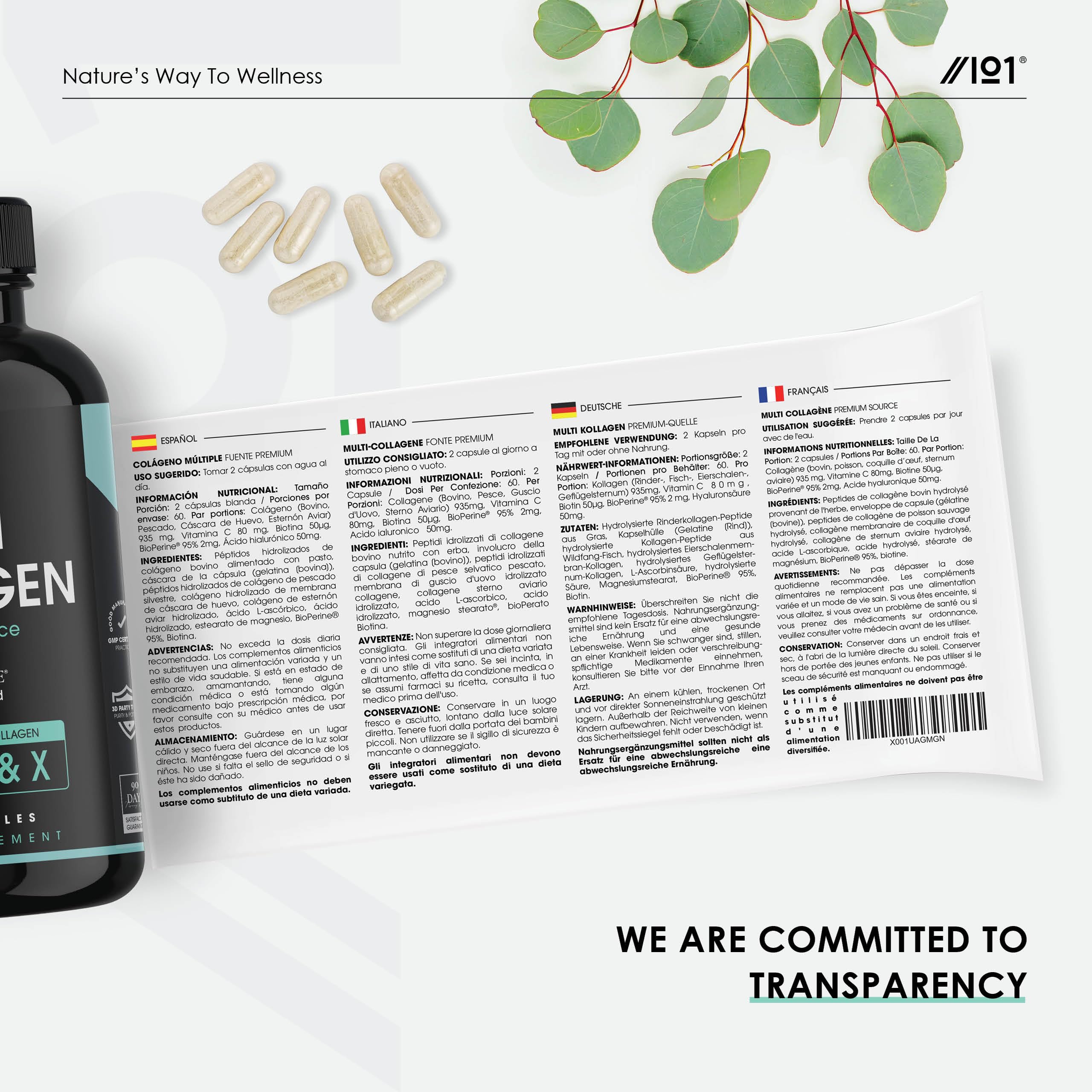 Multi Collagen Capsules - 120 Capsules - Types I, II, III, V & X - Wild Caught Fish, Grass Fed Bovine, Eggshell Revive Naturals buy supplements canada