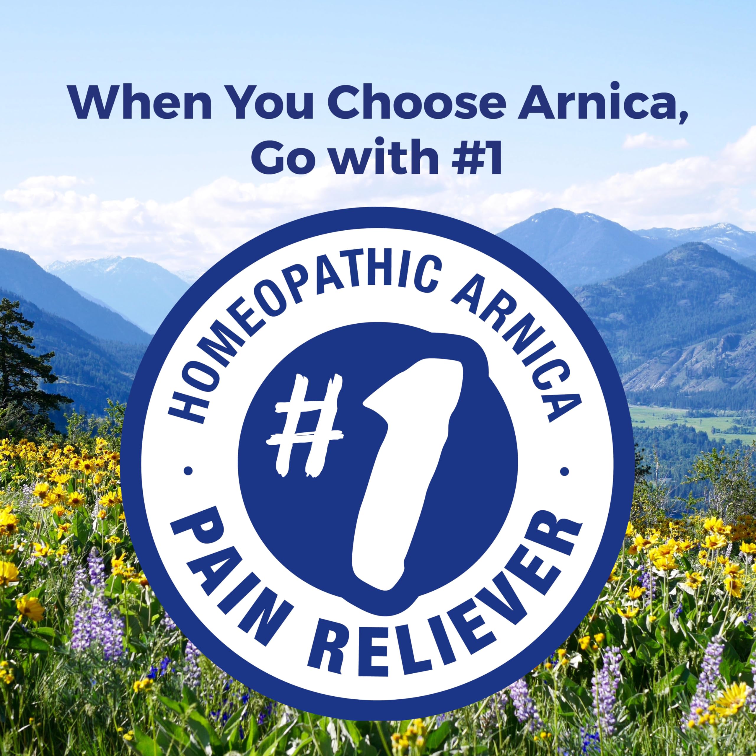 Boiron Arnica Montana 30X Homeopathic Medicine for Relief from Muscle Pain, Muscle Stiffness, Swelling from Injury, and Discoloration from Bruises - 3 Count (240 Pellets) Boiron buy supplements canada