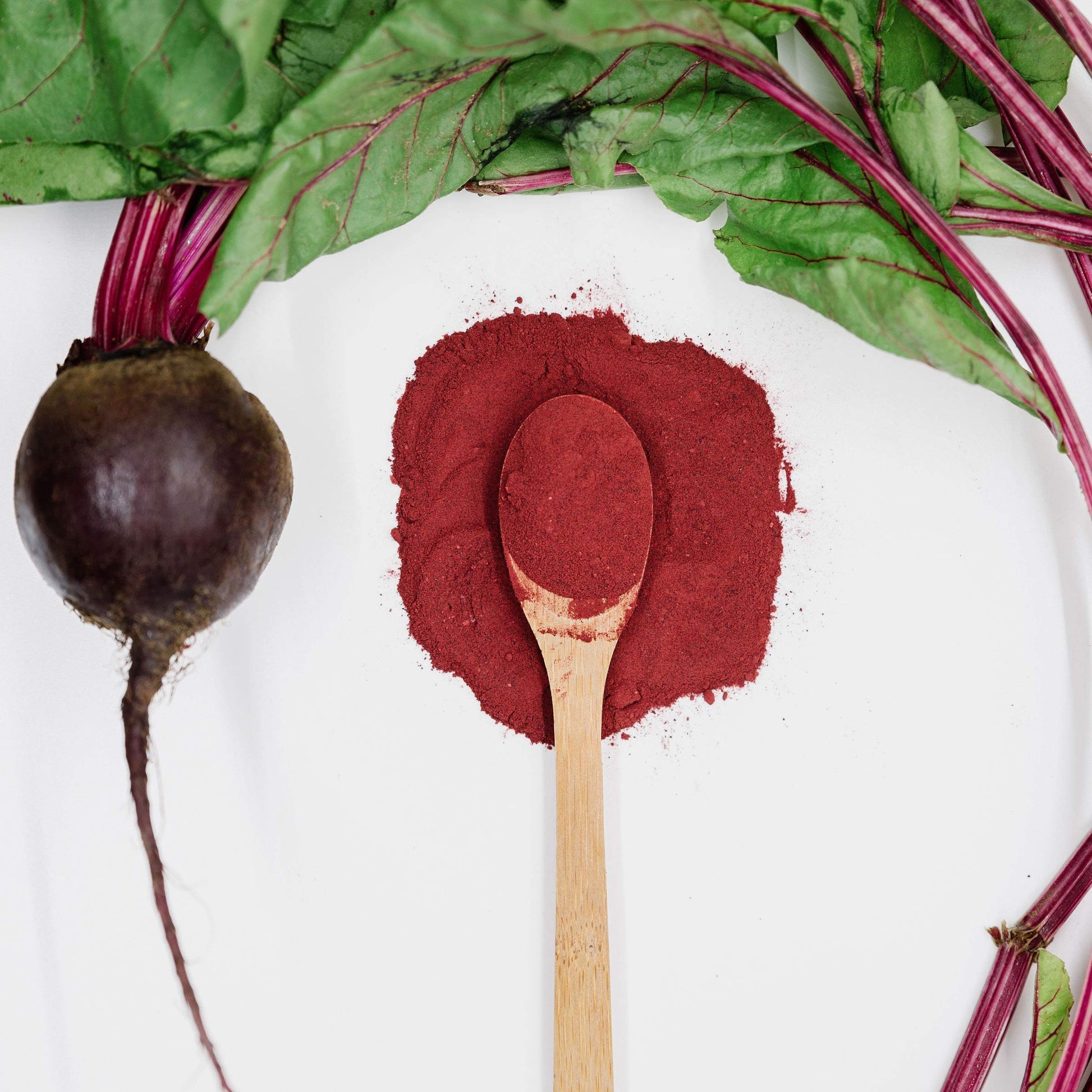 TruBaio Organic Beet Root Powder: Nitric Oxide Booster, Circulation and Stamina Increasing TruBaio buy supplements canada