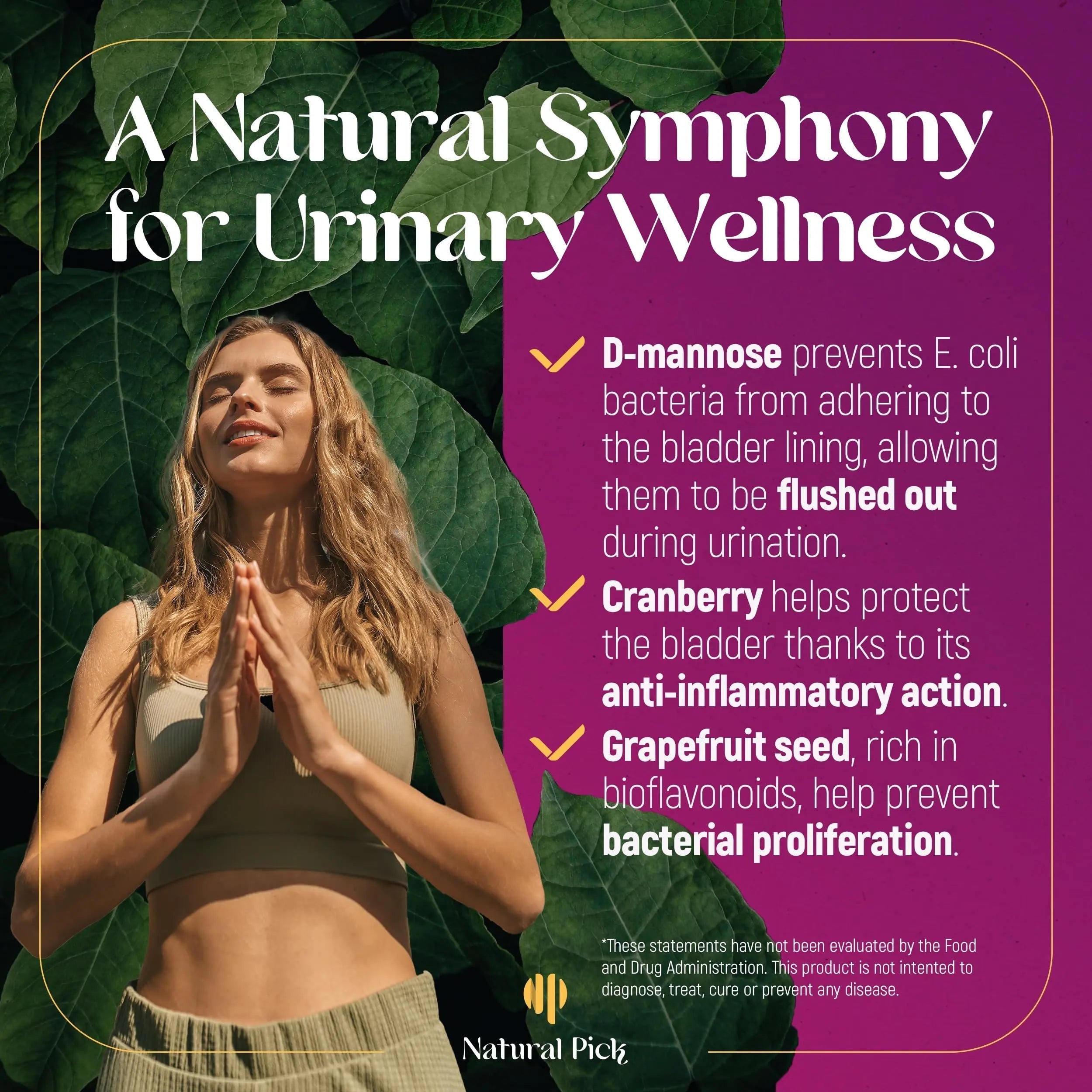 Natural Pick D-Mannose - Cranberry & Grapefruit – Cranberry Pills, UTI Treatment and Fast Relief for Women | Urinary Tract & Bladder Support. 90 Vegan Capsules, D mannose Supplements for Women Natural Pick buy supplements canada