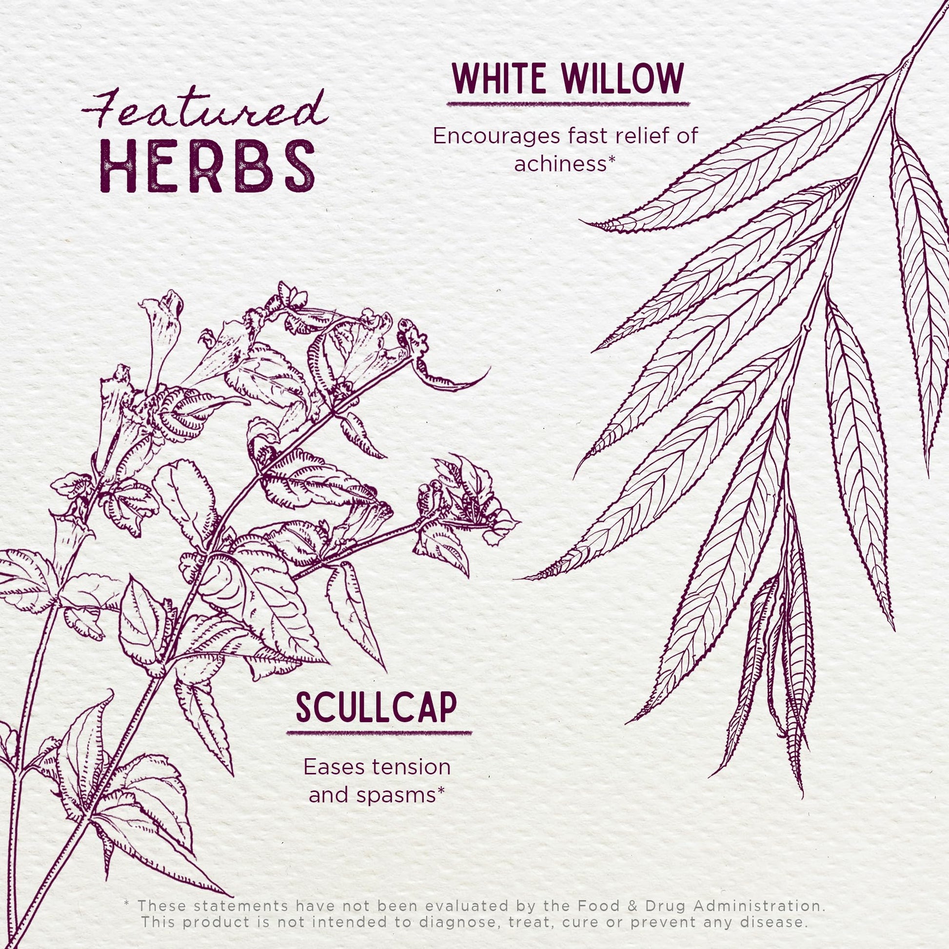 WishGarden Herbs Cranial Comfort - Plant-Based Herbal Supplement with White Willow Bark Extract, Lavender & Scullcap Supports Release of Head, Neck & Shoulders Tension, Stress & Muscle Tension, 4oz WishGarden buy supplements canada