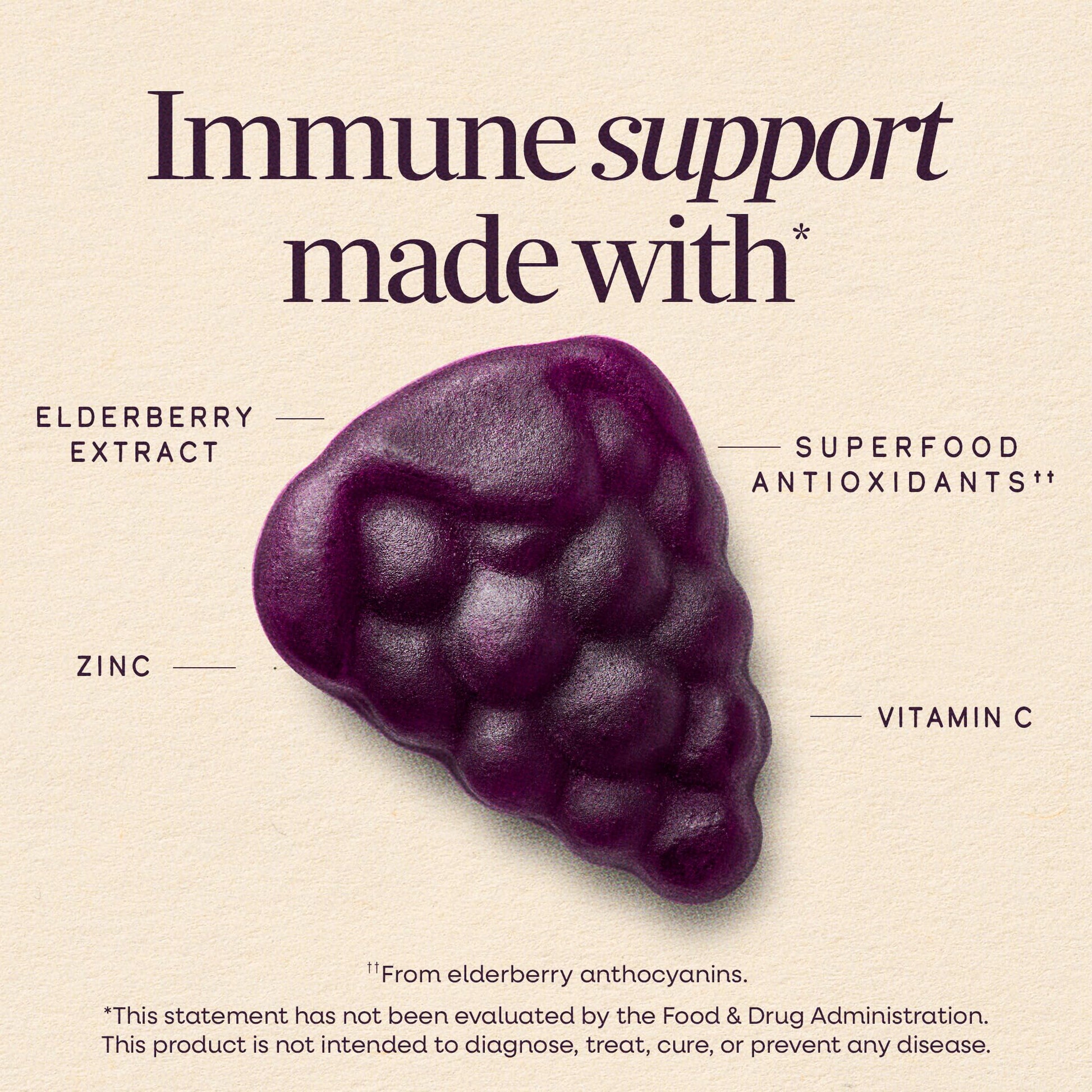 Nature’s Way Sambucus Kids Elderberry Immune Gummies with Black Elderberry Extract, Daily Immune Support Gummy with Vitamin C and Zinc Nature's Way buy supplements canada