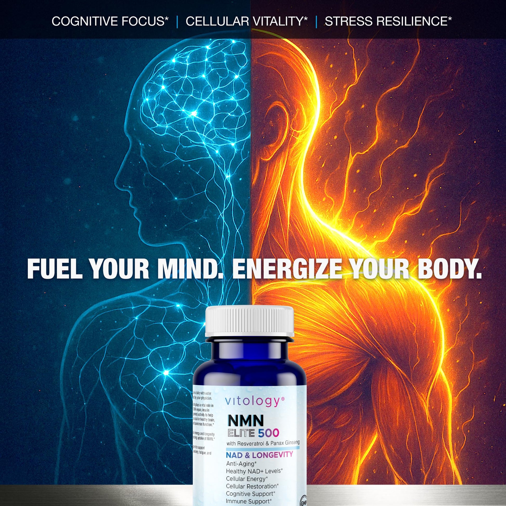 Vitology NMN Elite 500 – NMN 500mg, Resveratrol 200mg, Panax Ginseng 300mg – NAD+ Cellular Energy & Longevity Support Supplement – Focus, Vitality & Anti-Aging Formula – Non-GMO, Vegan Capsules Vitology buy supplements canada