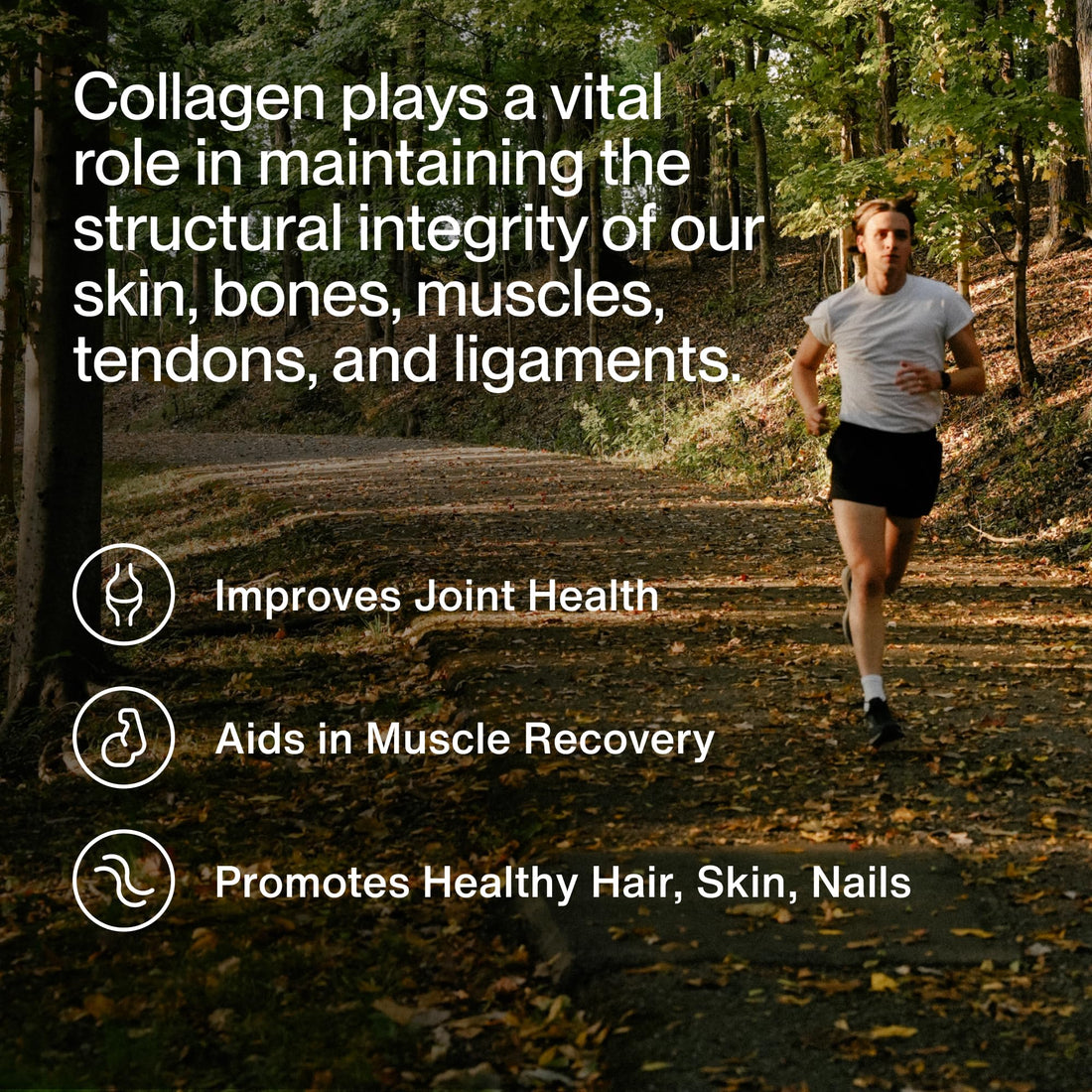 Momentous Grass-Fed Collagen Peptides Powder - Collagen Protein Powder with Fortigel & Vitamin C for Hair, Skin, Nails, & Joint Health Support Momentous buy supplements canada