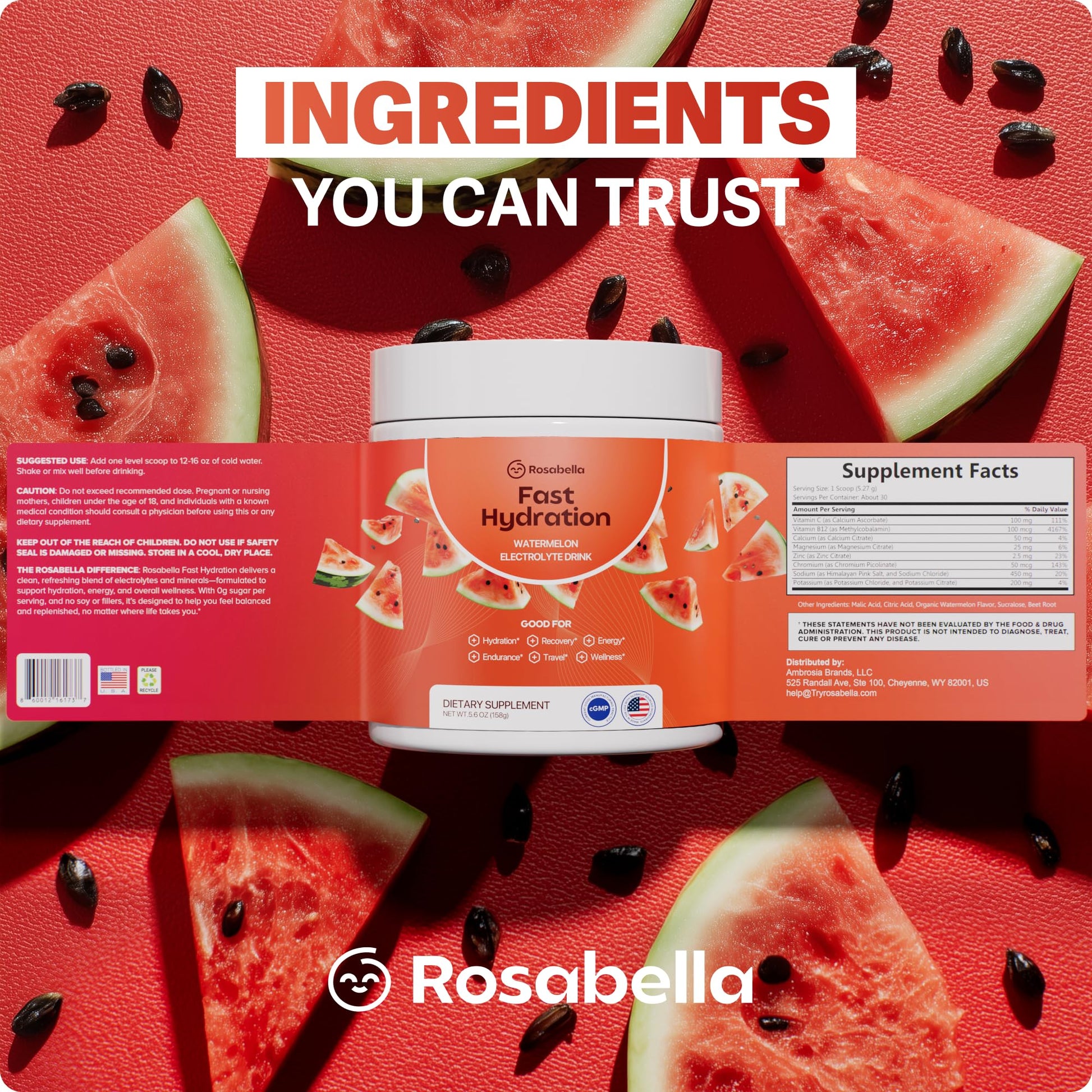 Rosabella Electrolyte Drink Powder – Watermelon – Sugar-Free Hydration Drink Mix – Electrolytes Powder with Sodium, Potassium, Magnesium, Calcium Rosabella buy supplements canada