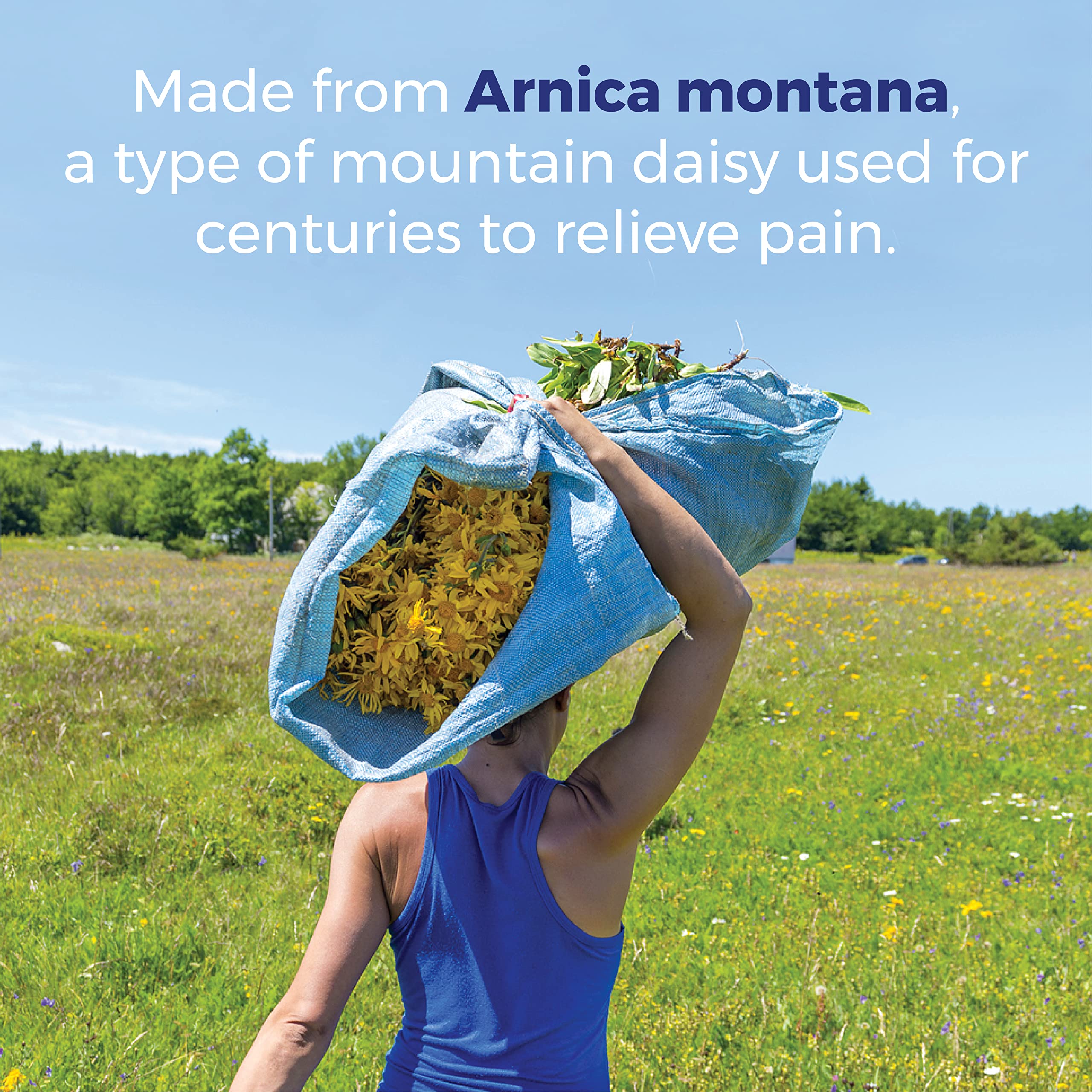 Boiron Arnica Montana 30X Homeopathic Medicine for Relief from Muscle Pain, Muscle Stiffness, Swelling from Injury, and Discoloration from Bruises - 3 Count (240 Pellets) Boiron buy supplements canada