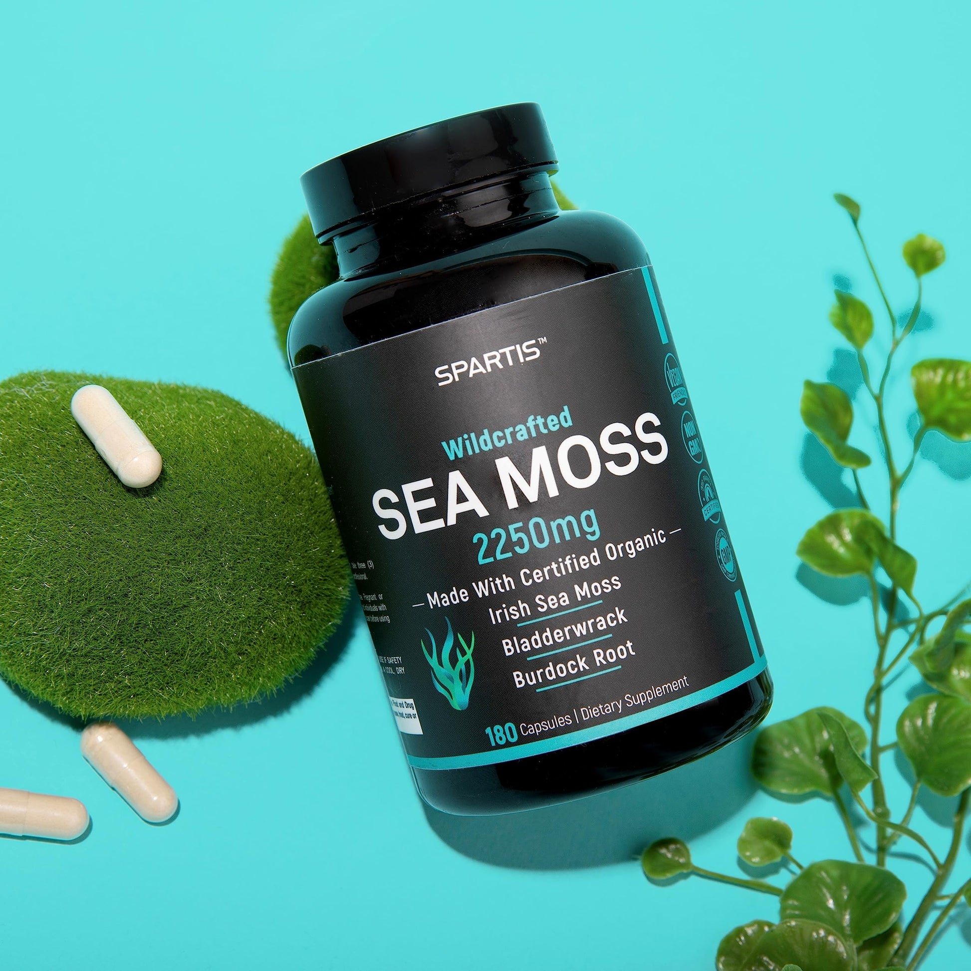 Certified Organic Sea Moss Capsules 2250mg Wildcrafted Irish Sea Moss Burdock Root SPARTIS buy supplements canada