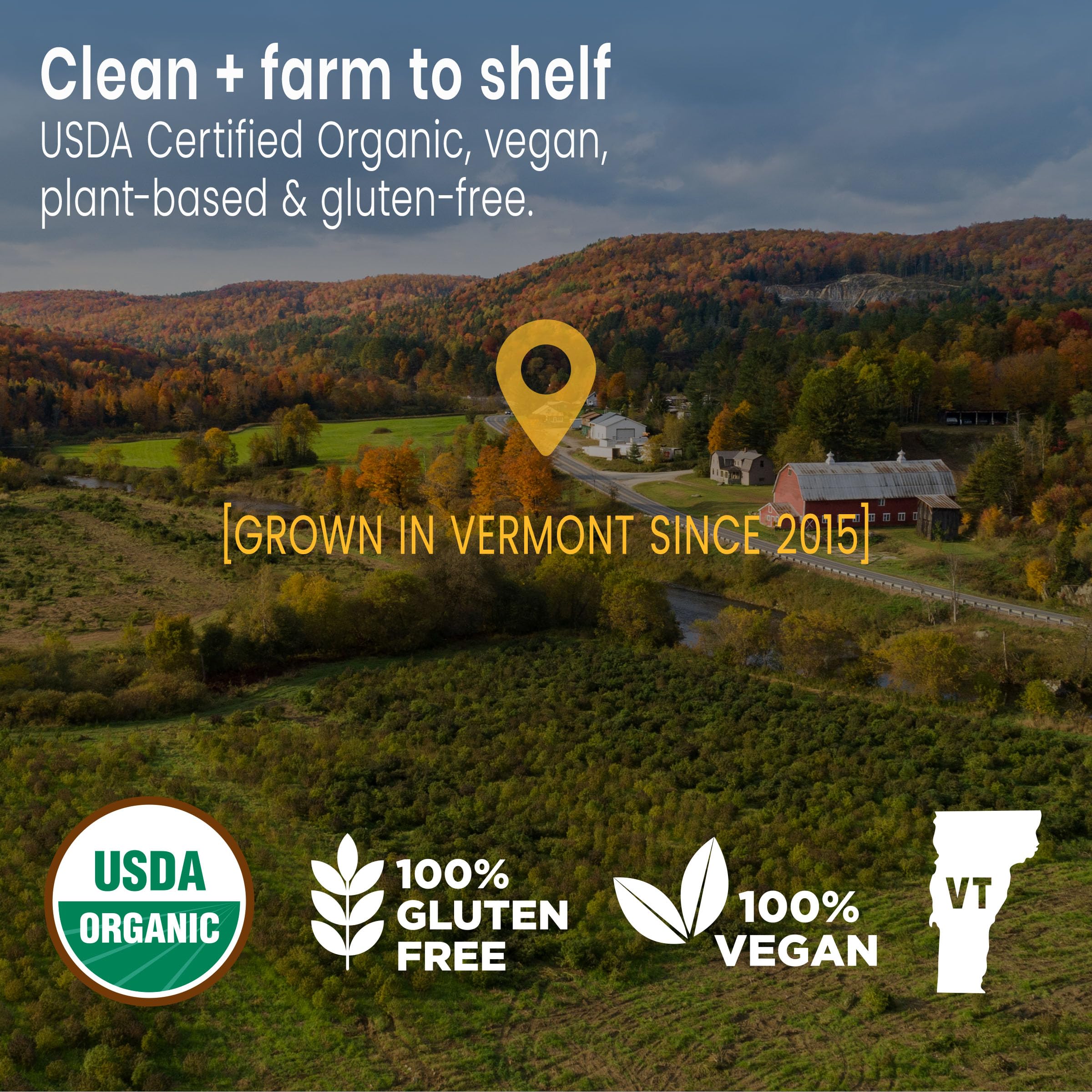 Sunsoil A World of Calm Organic Gummies, USDA Certified Organic, No Glucose, Vegan, Gluten-Free, Plant-Based Sunsoil Supplements buy supplements canada
