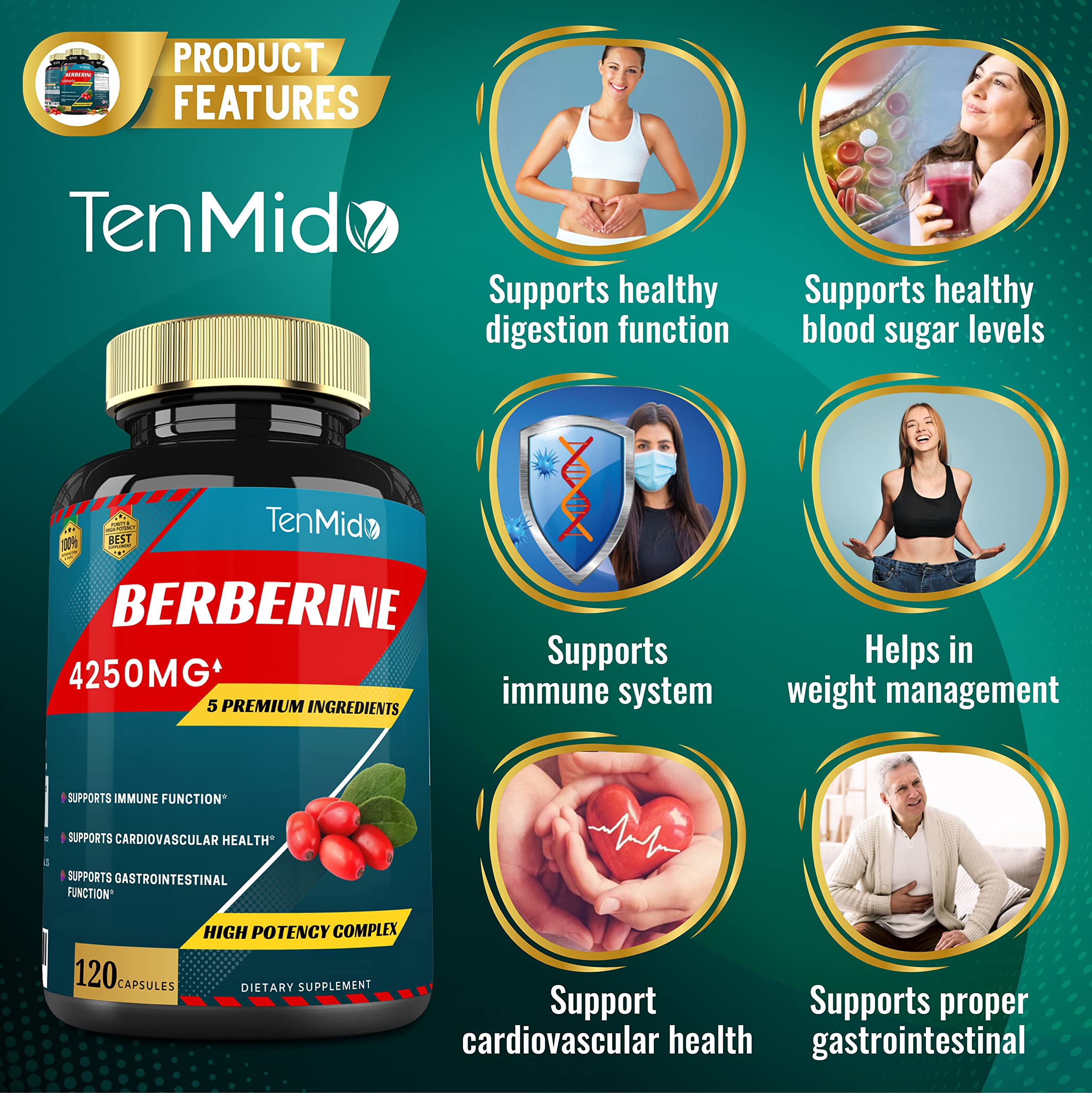 Berberine Extract Capsules 4250mg, 4 Months Supply & Ceylon, Milk Thistle, Turmeric Tenmido buy supplements canada
