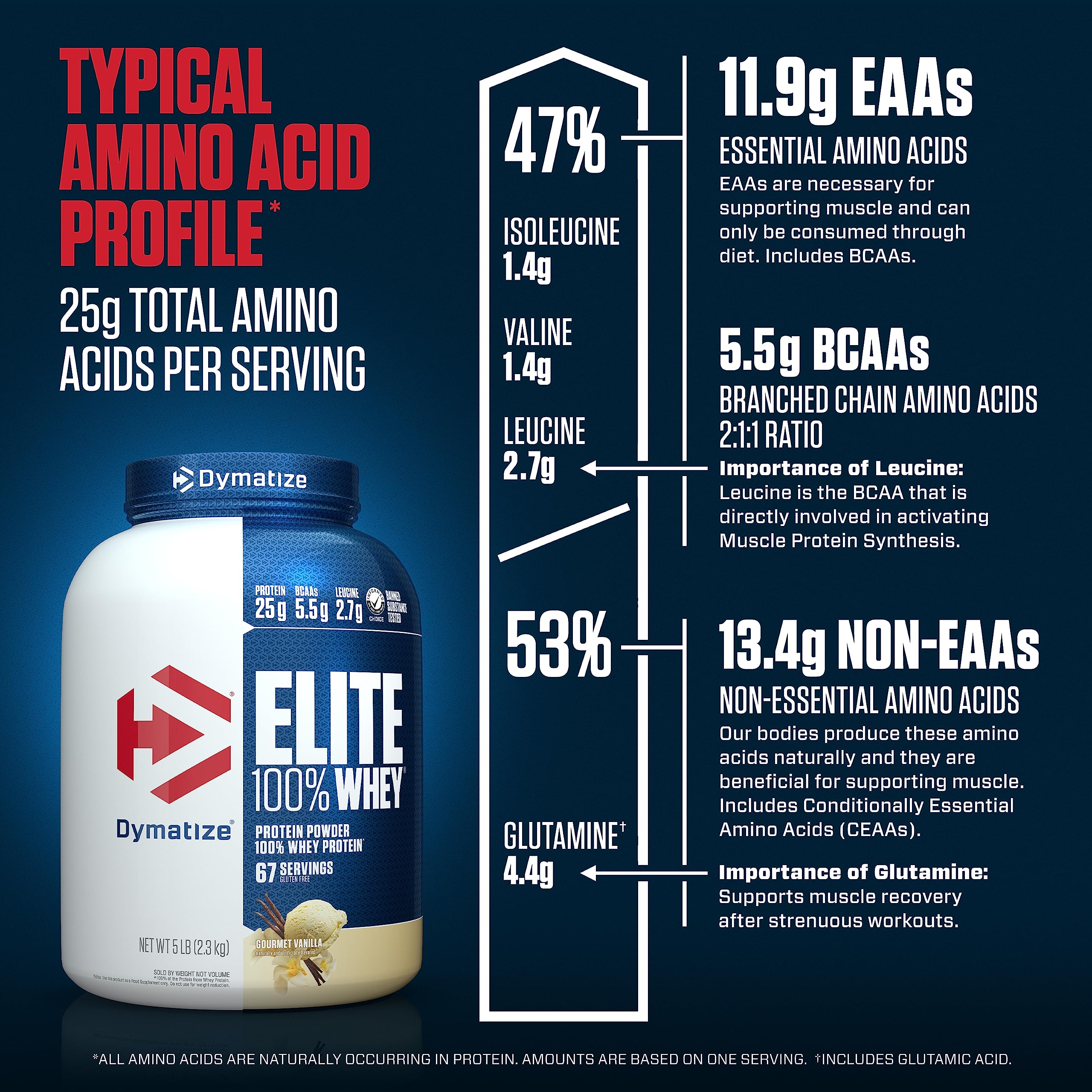 Dymatize Elite 100% Whey Protein Powder, 25g Protein, 5.5g BCAAs & 2.7g L-Leucine Dymatize buy supplements canada