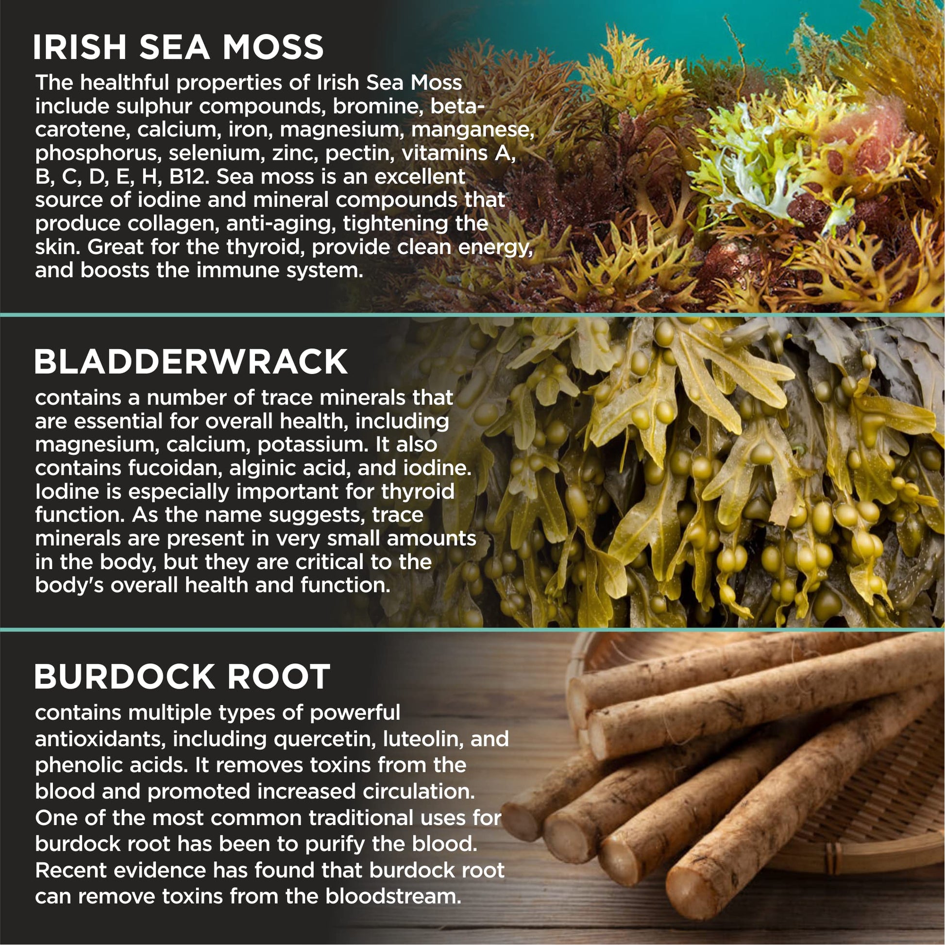 HerbaMe Organic Irish Sea Moss with Bladderwrack, Burdock Root & Black Pepper Extract HerbaMe buy supplements canada