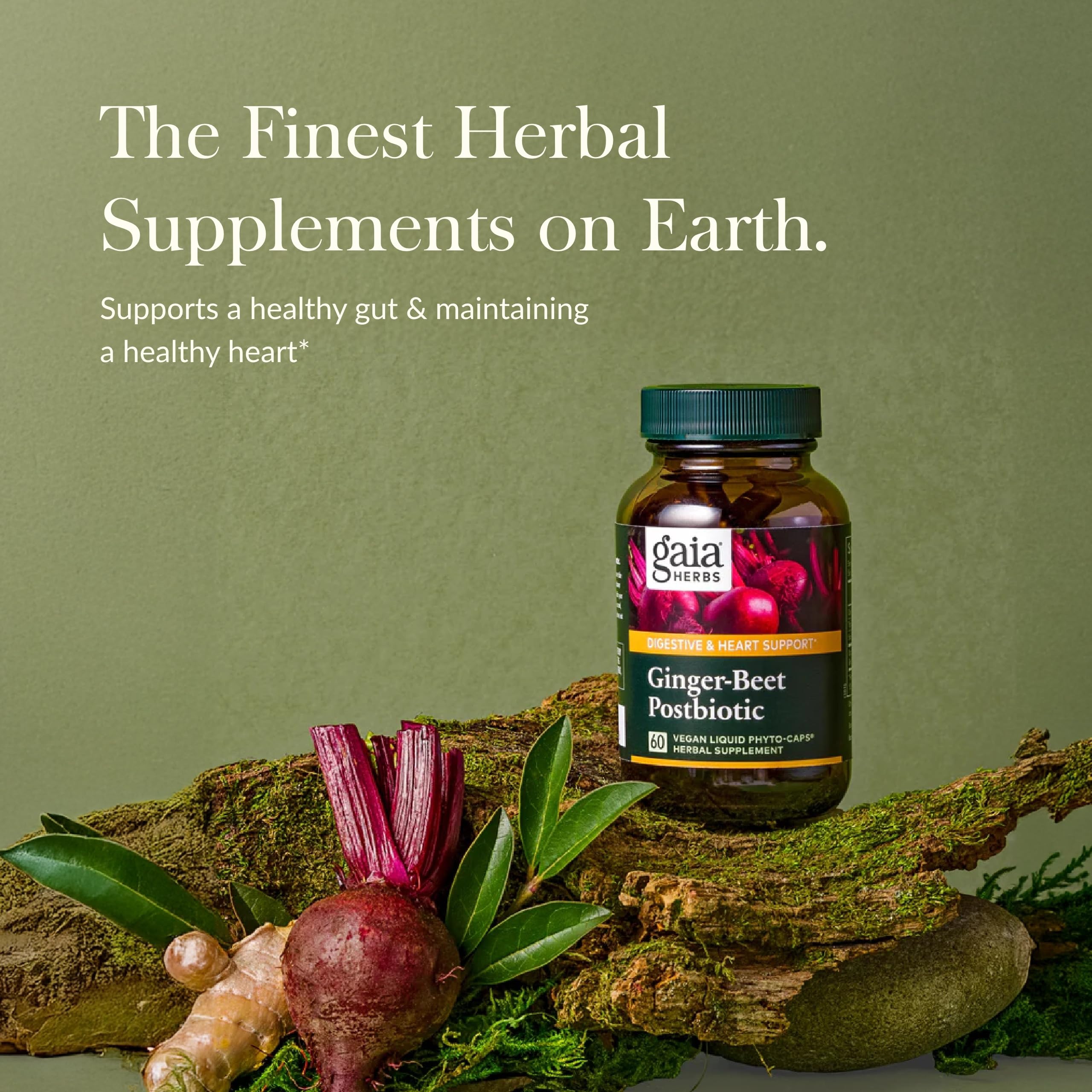 Gaia Herbs Ginger-Beet Postbiotic - Supplement for Gut & Heart Health Support* - Made with Fermented Beets & Ginger - Free from Dairy, Soy & Gluten - 60 Vegan Liquid Phyto-Caps (30 Servings) Gaia Herbs buy supplements canada