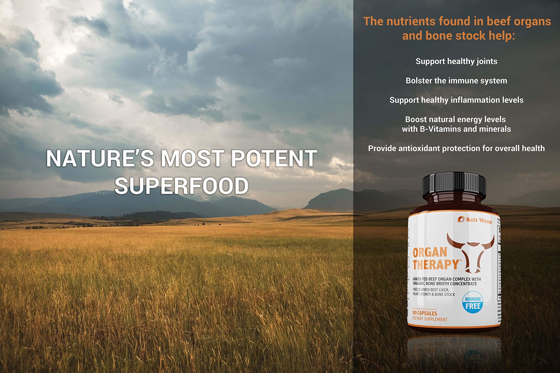 SaltWrap Organ Therapy - Grass Fed Beef Organ Meat Complex Supplement with Organic SaltWrap buy supplements canada
