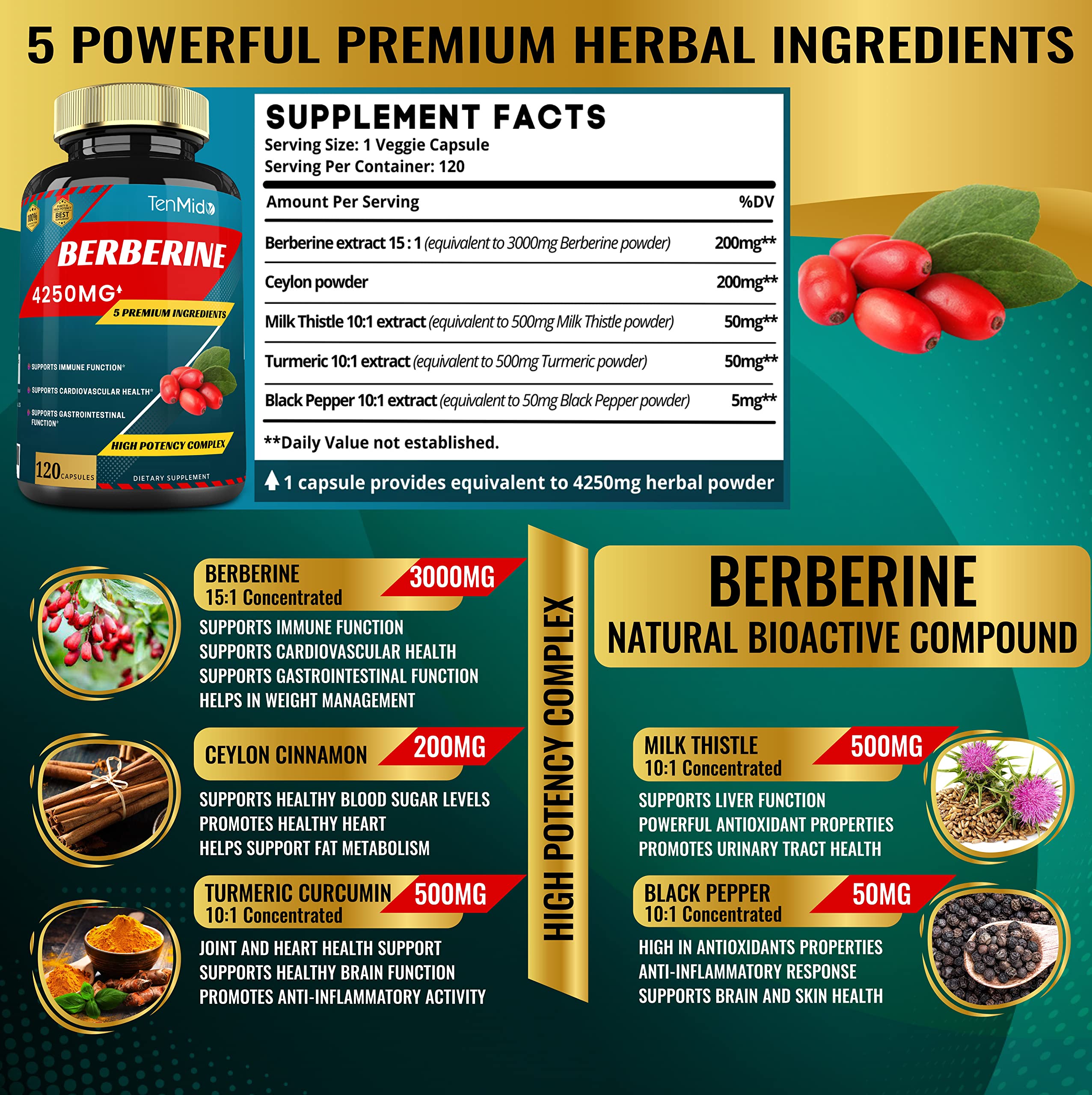 Berberine Extract Capsules 4250mg, 4 Months Supply & Ceylon, Milk Thistle, Turmeric Tenmido buy supplements canada