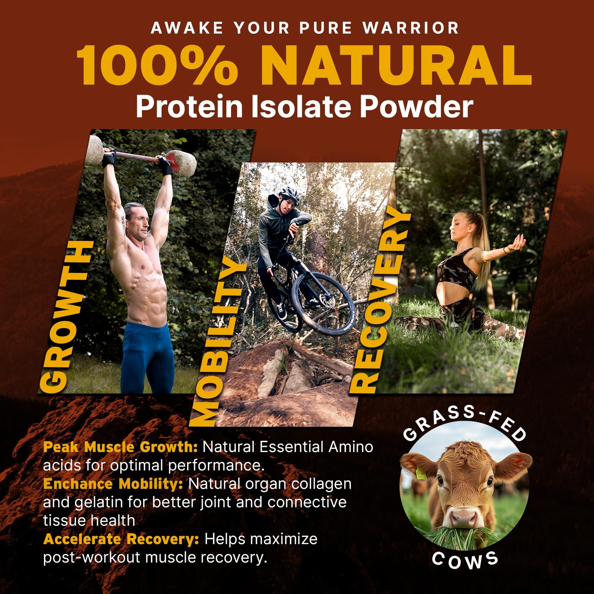 Paleo Pro 26G Beef Protein Powder - Grass Fed Protein Powder Isolate - Pure Animal Based Pastured & Cage-Free | Dairy & Gluten Free, Natural & Clean Proteins for Paleo & Keto - 15 Days Supply Vanilla Paleo Pro buy supplements canada
