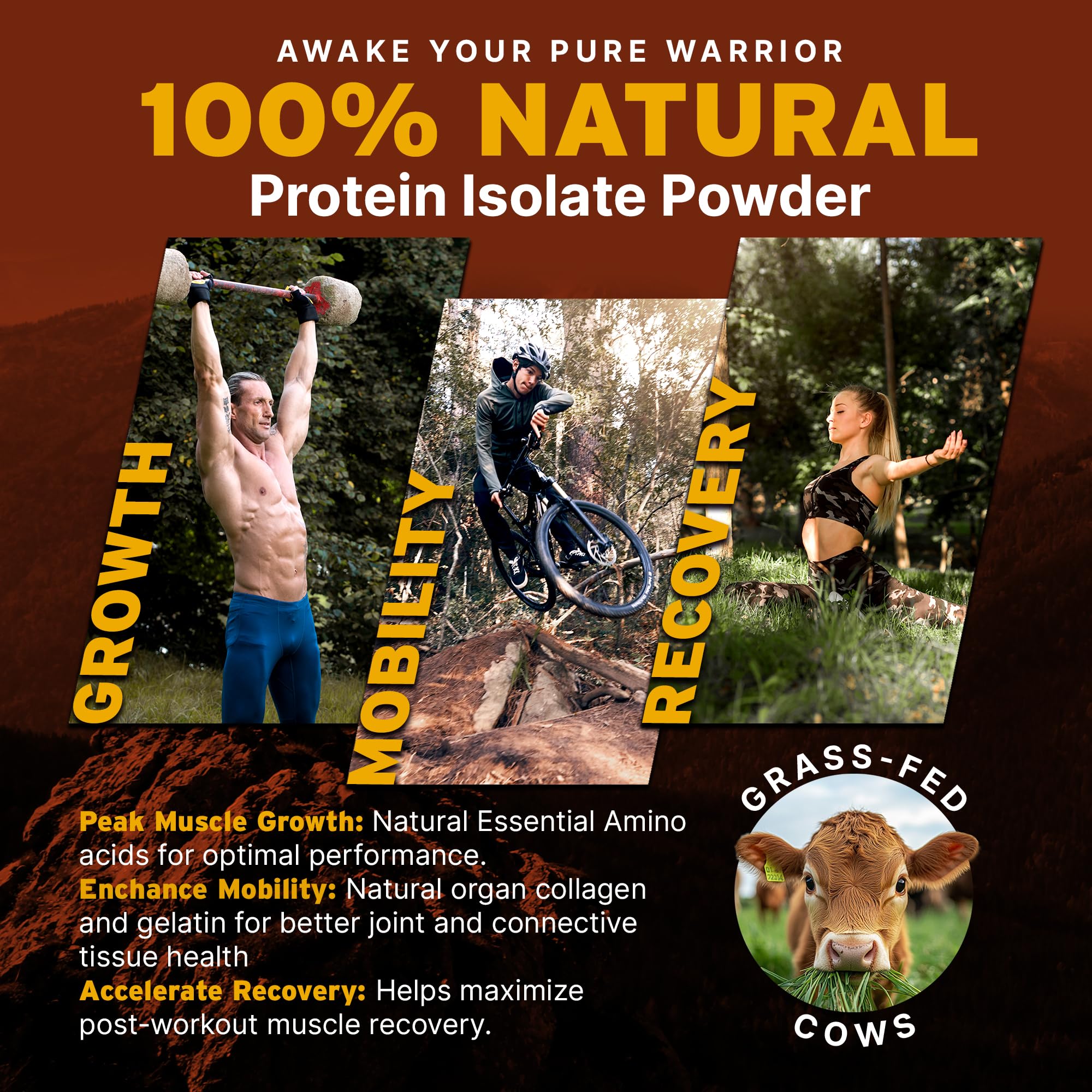Paleo Pro 26G Beef Protein Powder - Grass Fed Protein Powder Isolate - Pure Animal Based Pastured & Cage-Free | Dairy & Gluten Free, Natural & Clean Proteins for Paleo & Keto - 15 Days Supply Vanilla Paleo Pro buy supplements canada