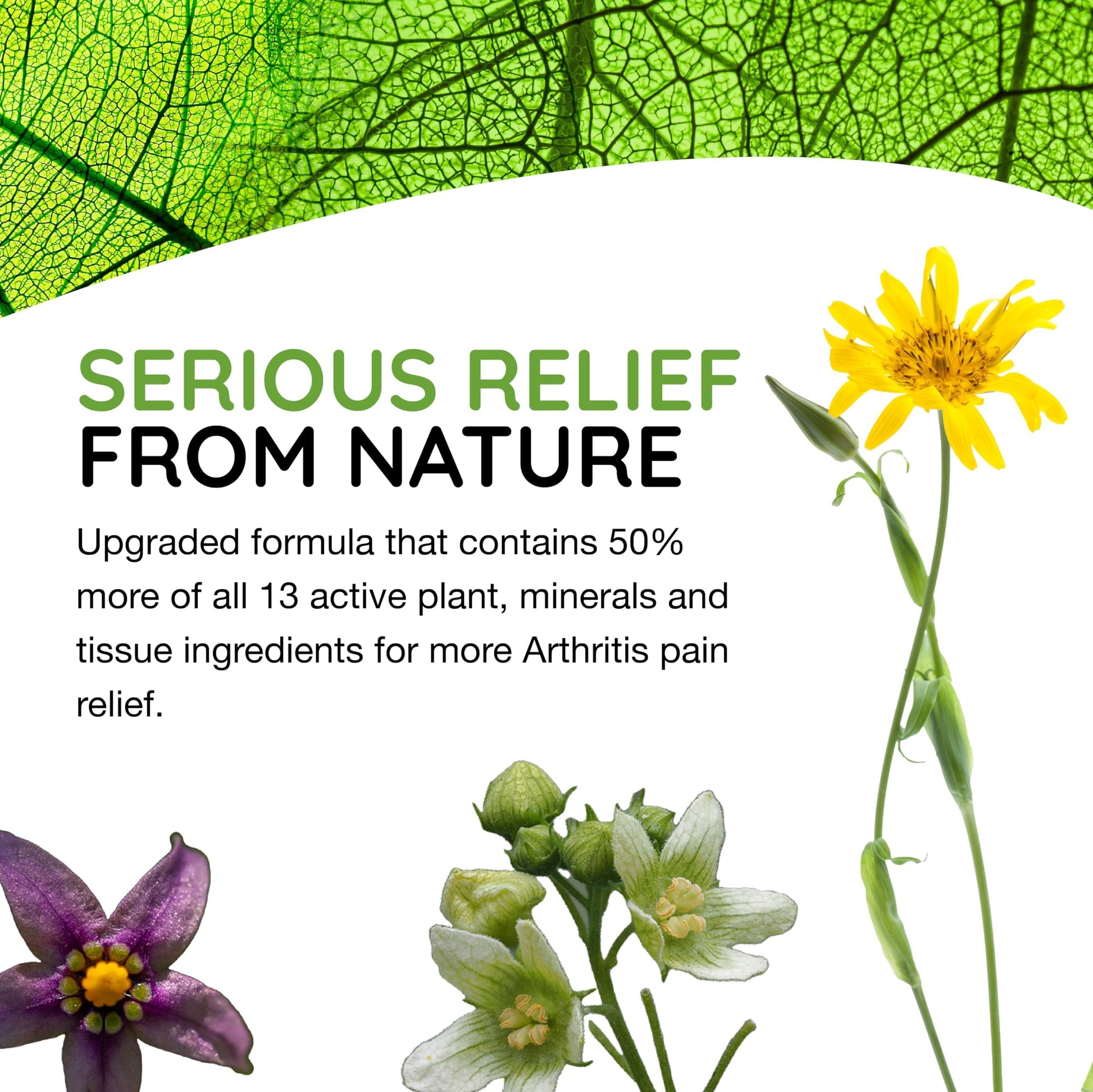 T-Relief Extra Strength Arthritis Pain Reliever Arnica +12 Natural Medicines for Joint Soreness Stiffness Aches, Quick Dissolving Pain Relief for Women & Men - 100 Tablets MediNatura buy supplements canada