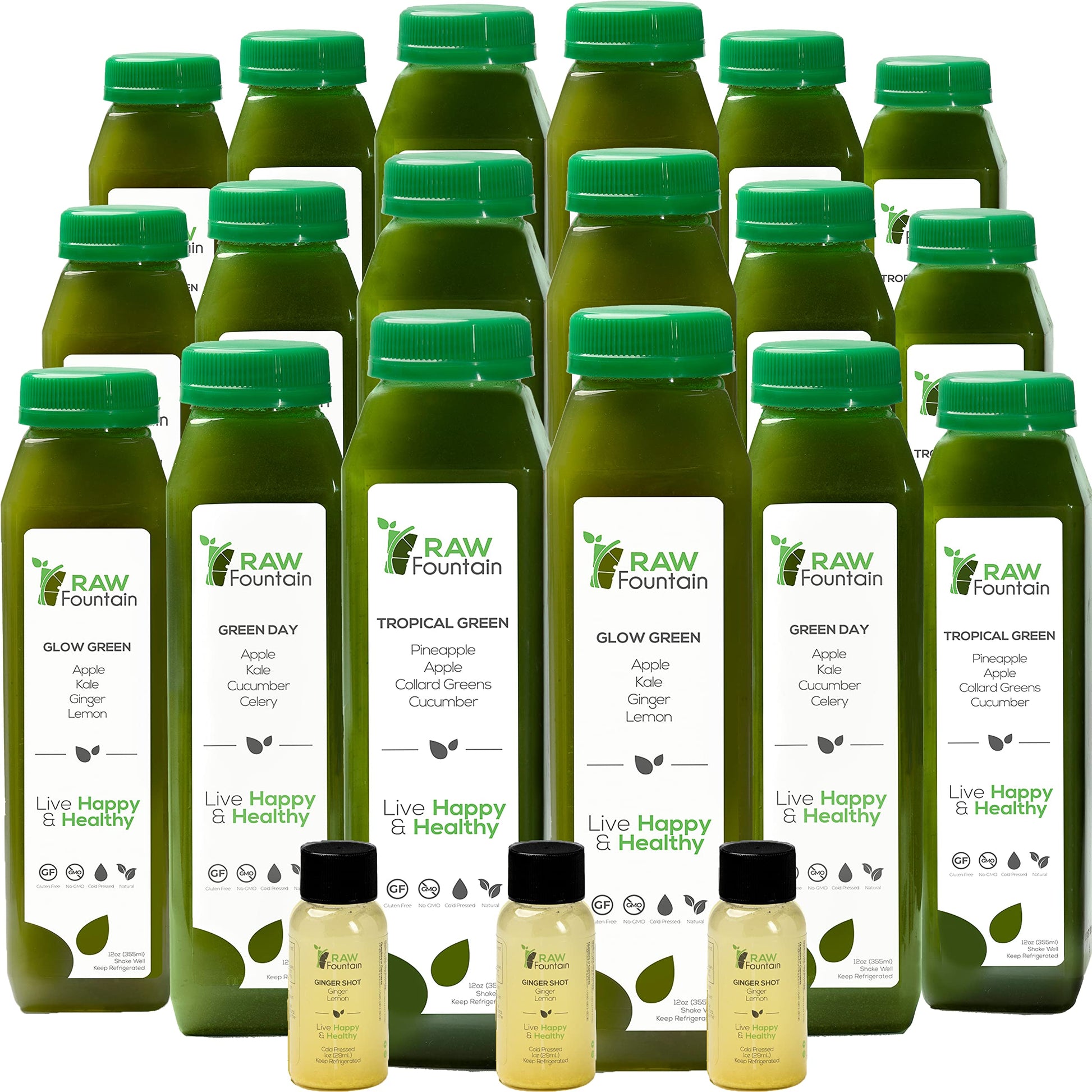 Raw Fountain 5 Day Green Juice Cleanse, All Natural Raw, Vegan Detox, Cold Pressed Raw Fountain buy supplements canada