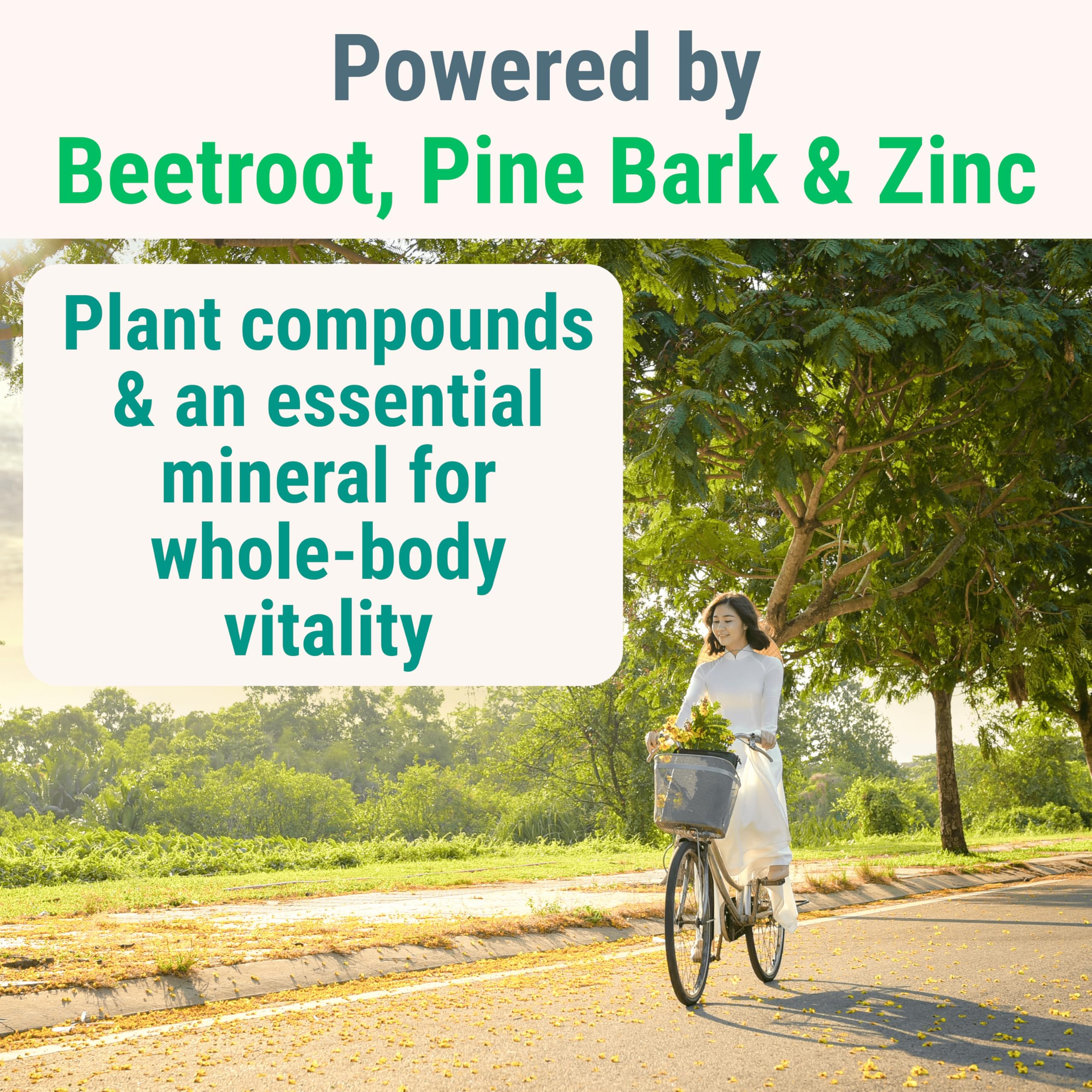 Pine Bark Extract L-Arginine L-Citrulline Beetroot Probiotic Fiber Methylated B Complex Zinc Gummies for Women Men Adults Kids w. Chicory Root Inulin 5-MTHF B6 P5P Powder Capsule Pill Supplement Alt SHIZAM buy supplements canada