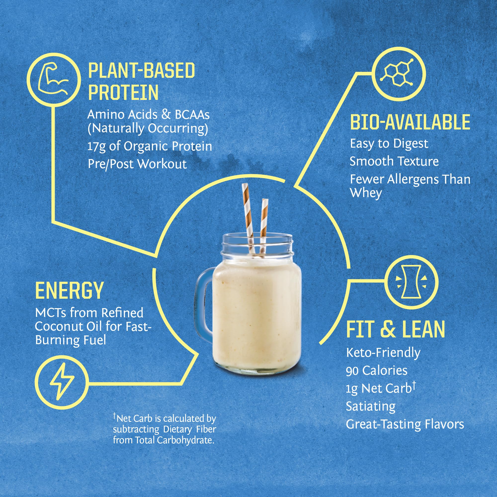 Sunwarrior Vegan Protein Powder Organic Plant-Based Protein | BCAA Amino Acids Hemp Seed Plant Protein | Soy Free Dairy Free Gluten Free Synthetic Free Non-GMO Sunwarrior buy supplements canada
