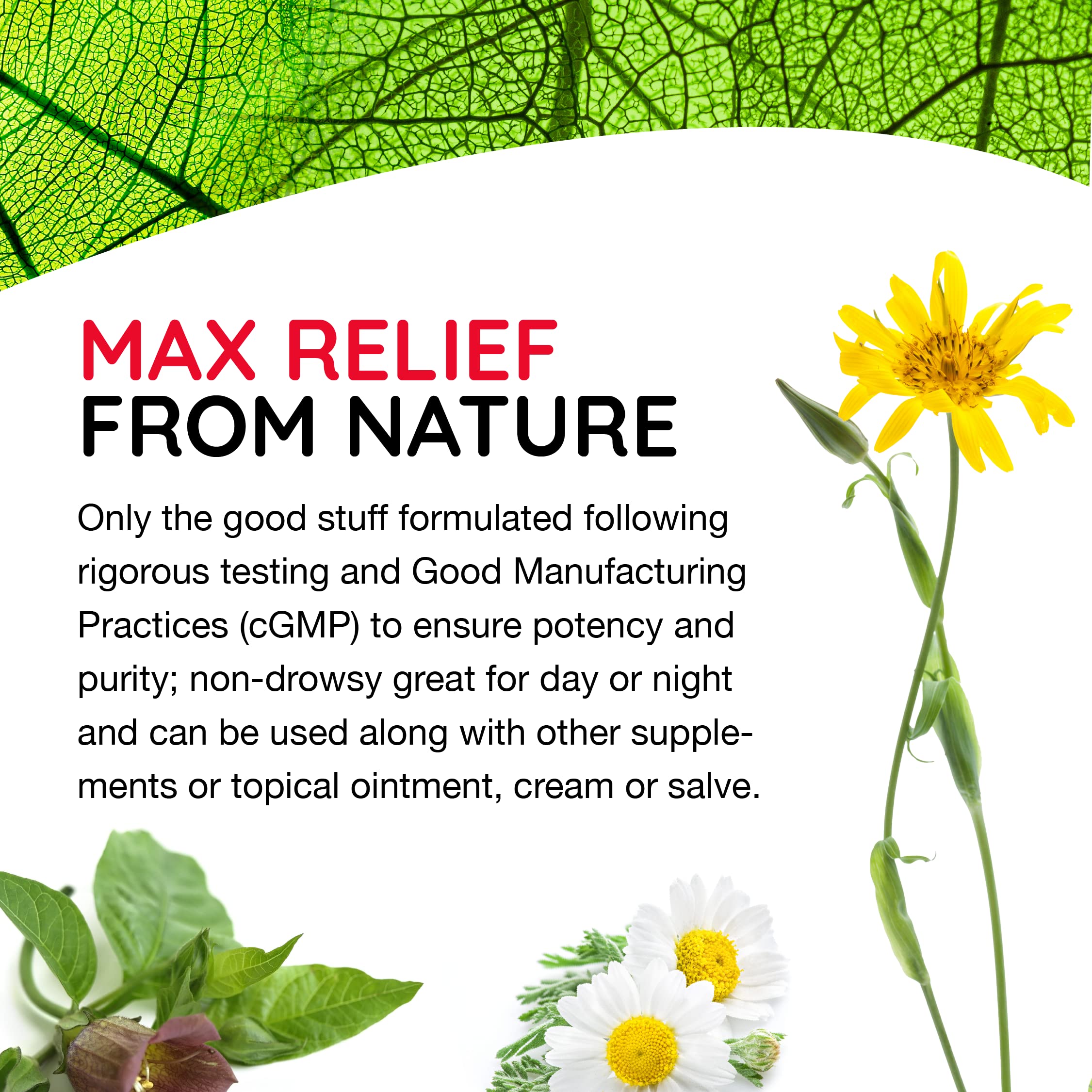 MediNatura T-Relief Extra Strength Oral Drops Arnica +12 Fast-Acting Natural Relieving Actives for Back Neck Joint Muscle Hand & Foot Aches Pains & Soreness - 1.69 oz MediNatura buy supplements canada